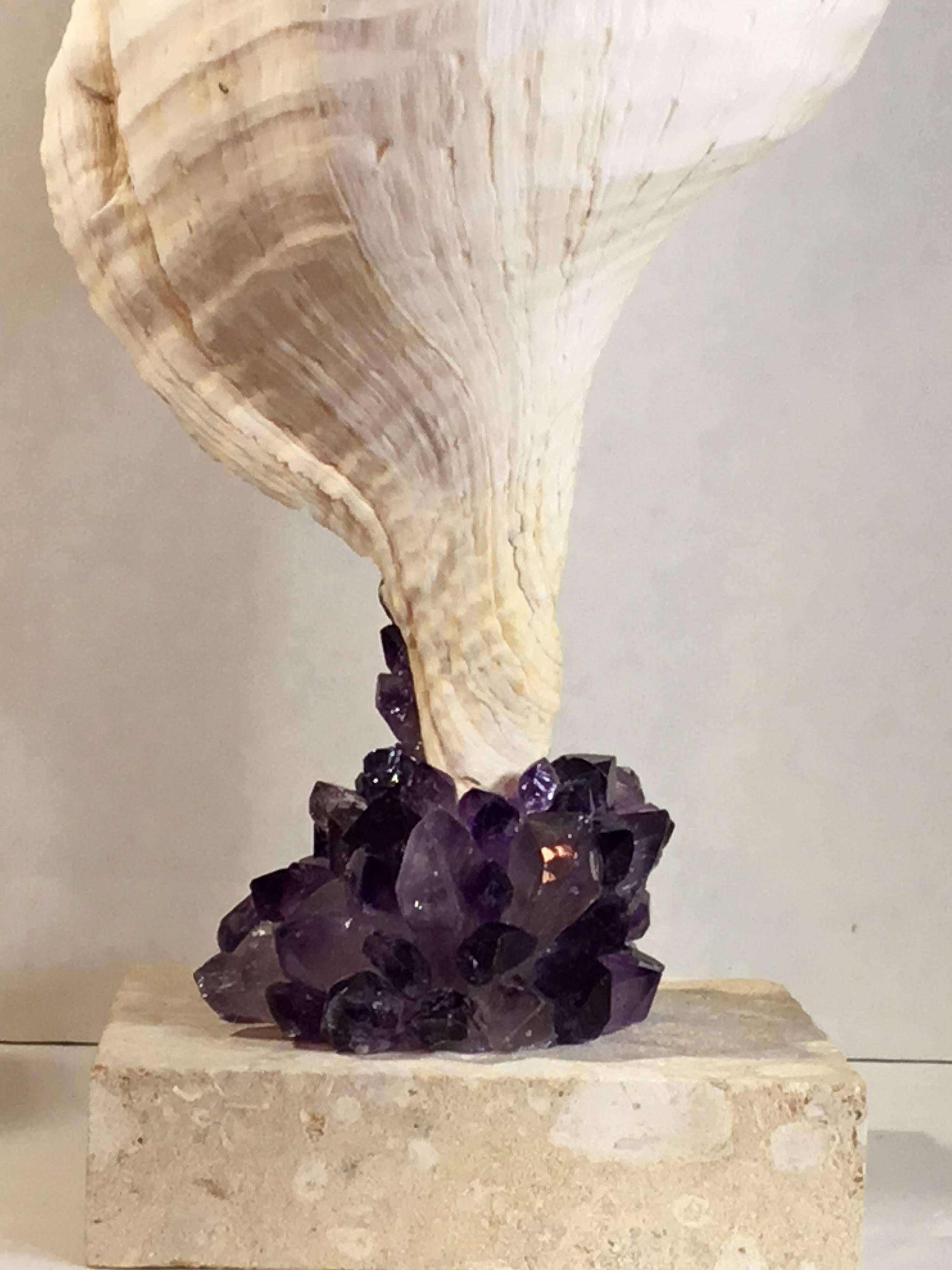 Fantastic Atlantic trumpet sea shell professionally mounted on a natural coral base ,artistically hand embedded with amethyst quartz crystal pieces ,Thant make a beautiful art object for display.