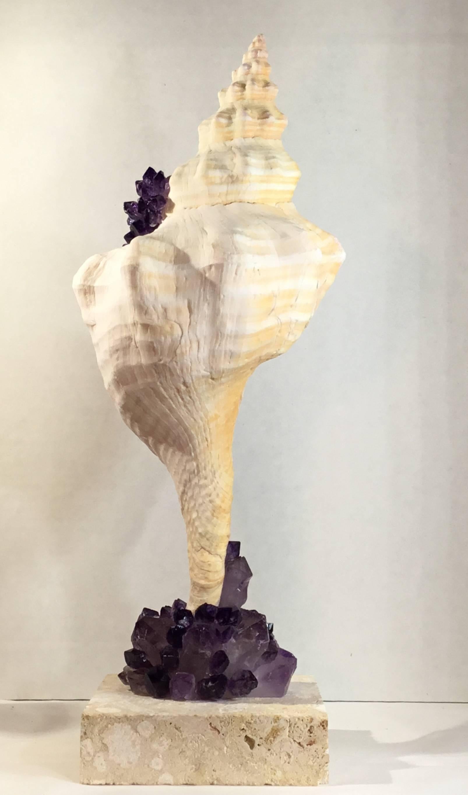 One of a Kind Sea Shell and Amethyst Crystal In Excellent Condition For Sale In Delray Beach, FL