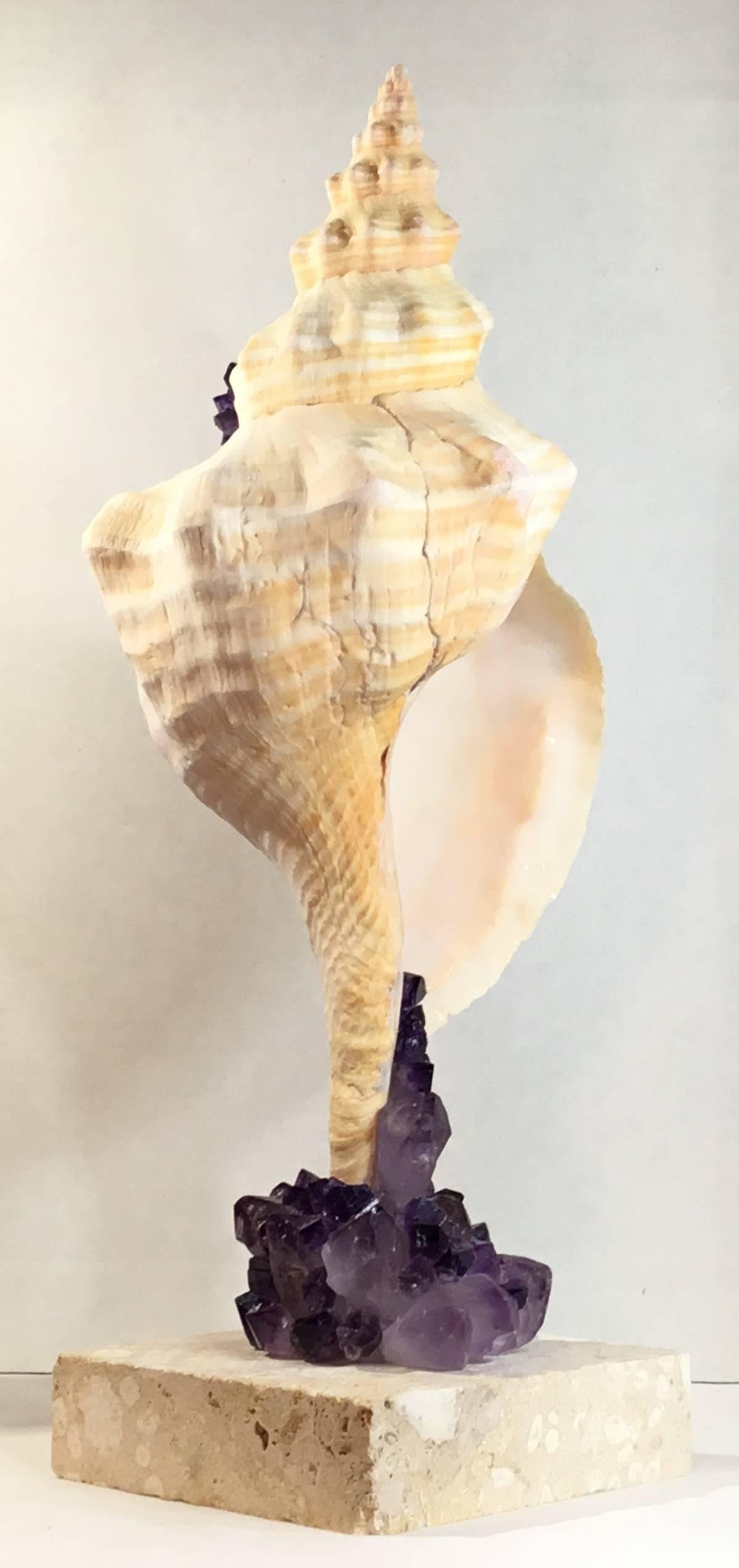 20th Century One of a Kind Sea Shell and Amethyst Crystal For Sale