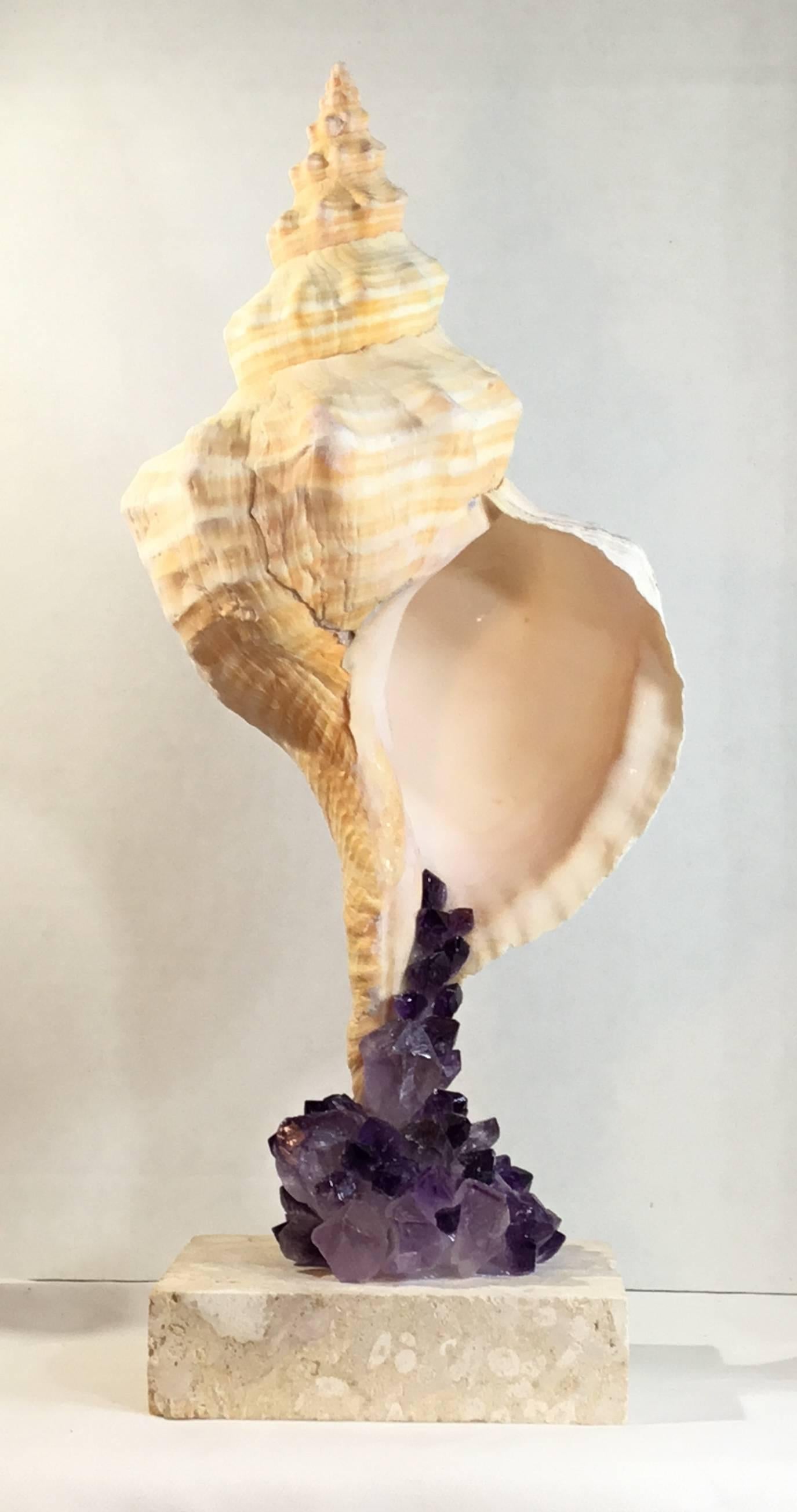 Coral One of a Kind Sea Shell and Amethyst Crystal For Sale