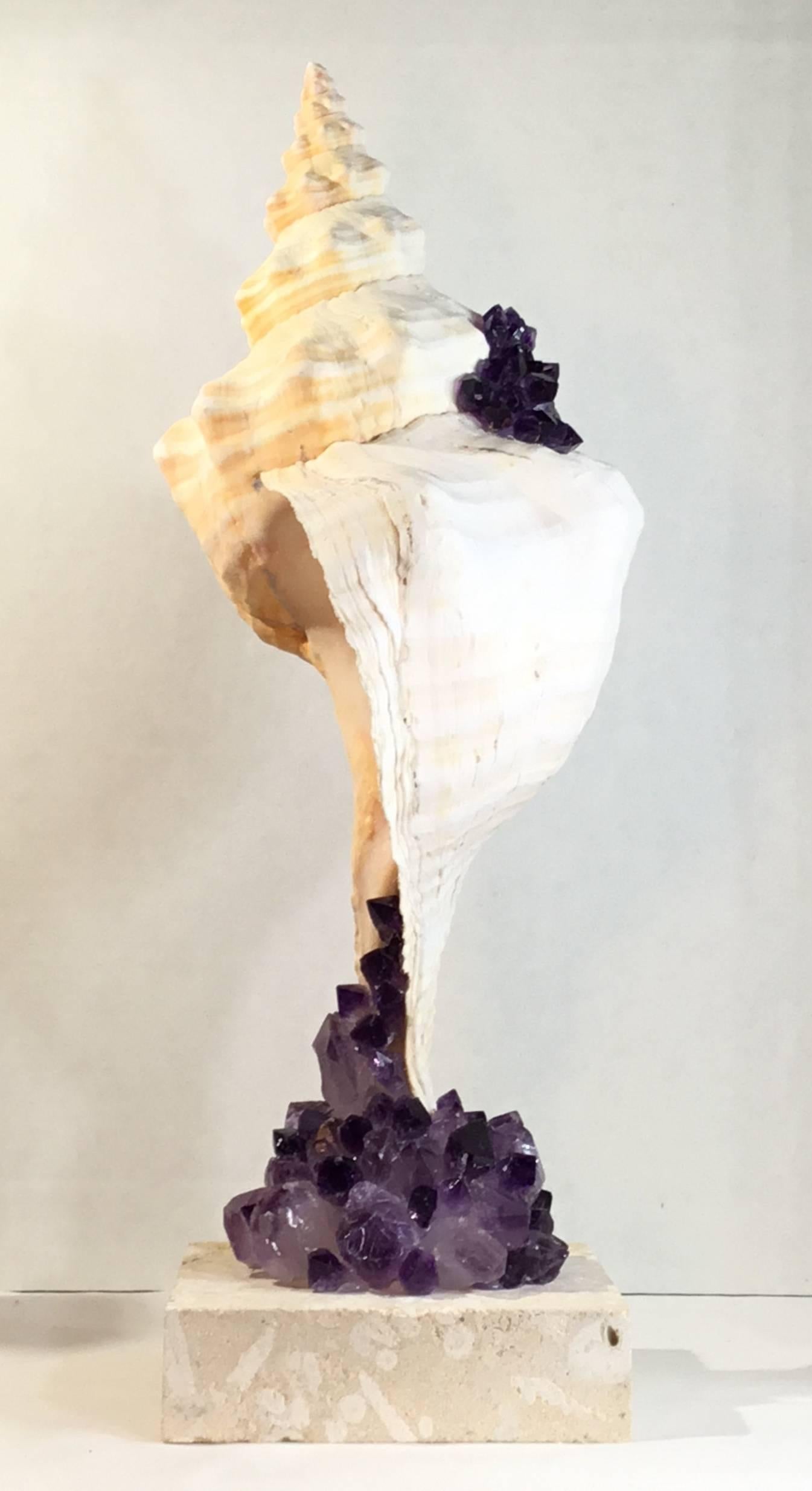 One of a Kind Sea Shell and Amethyst Crystal For Sale 2