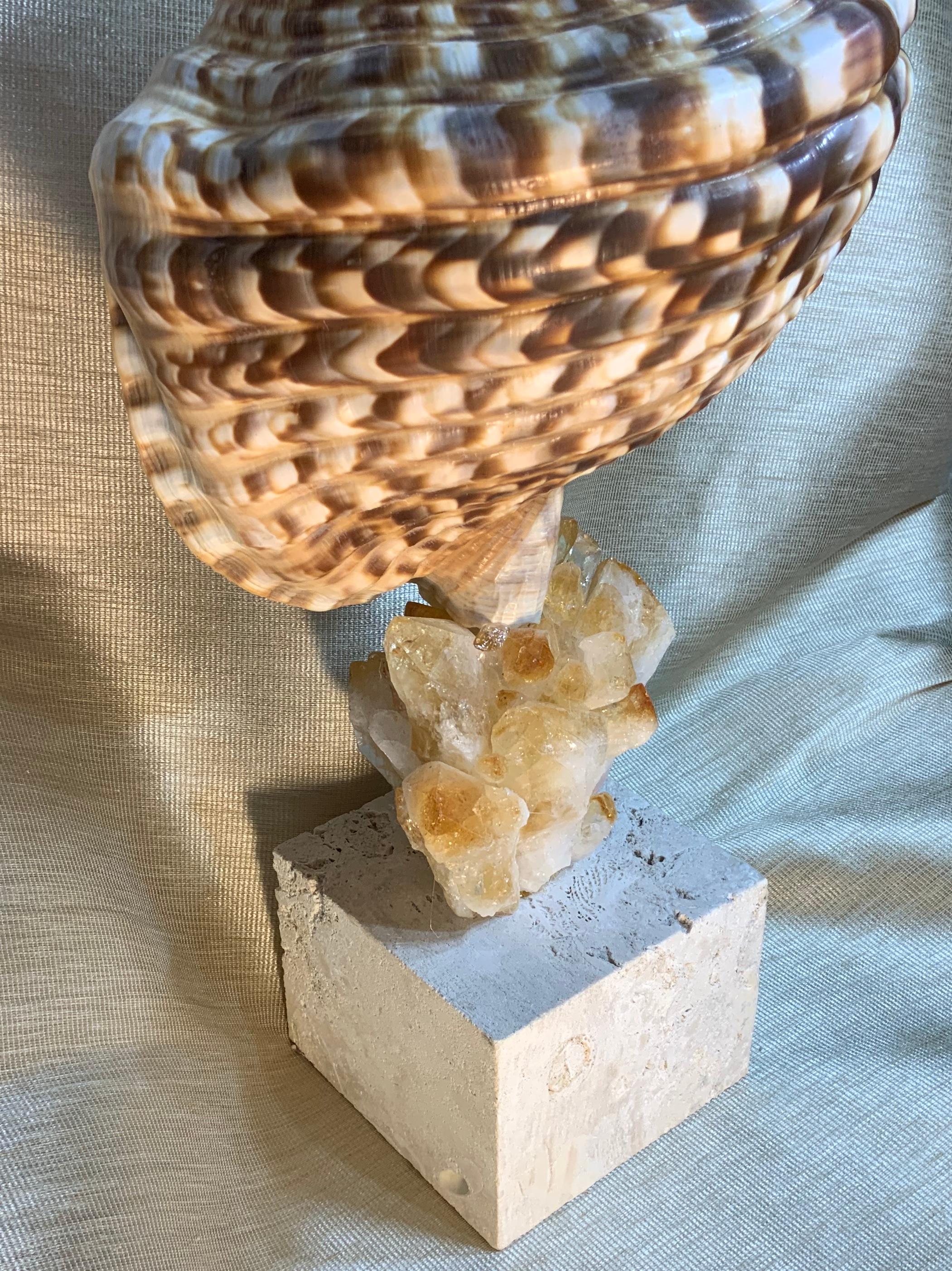 American One of a Kind Sea Shell and Crystal Citrine Quartz For Sale
