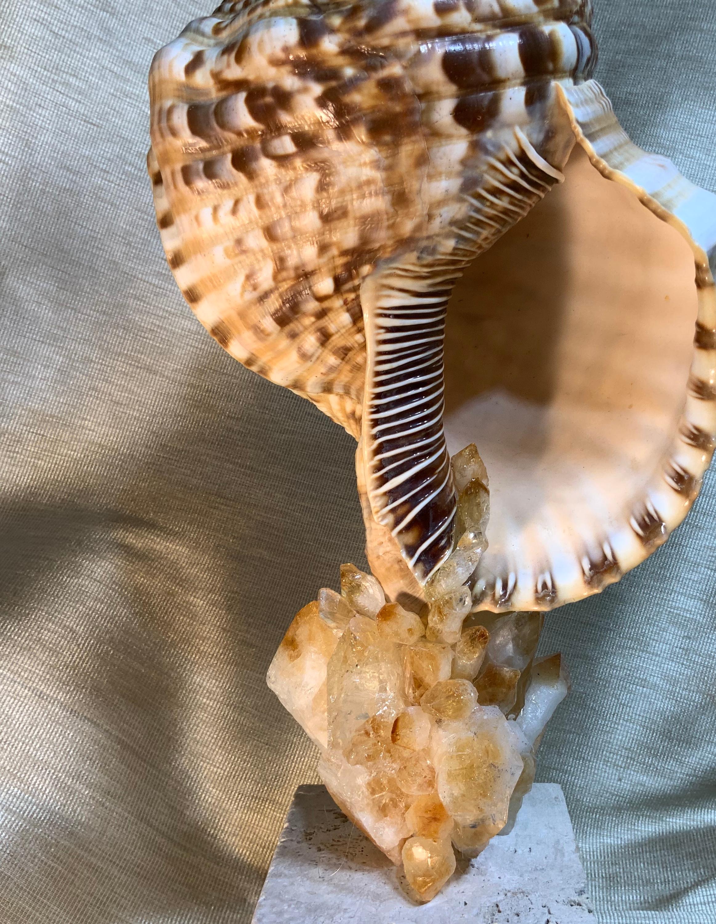 One of a Kind Sea Shell and Crystal Citrine Quartz For Sale 2