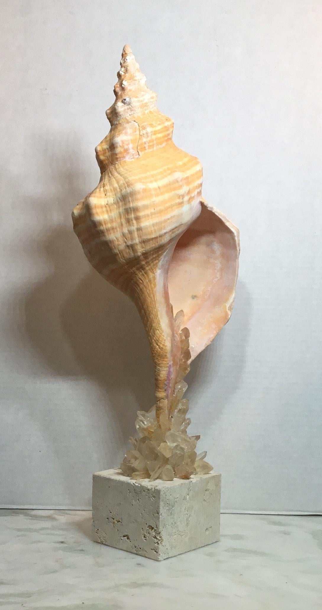 One of a Kind Sea Shell and Crystal Quartz For Sale 4