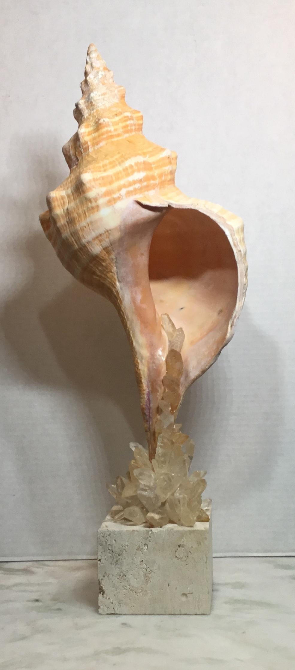 One of a Kind Sea Shell and Crystal Quartz For Sale 5