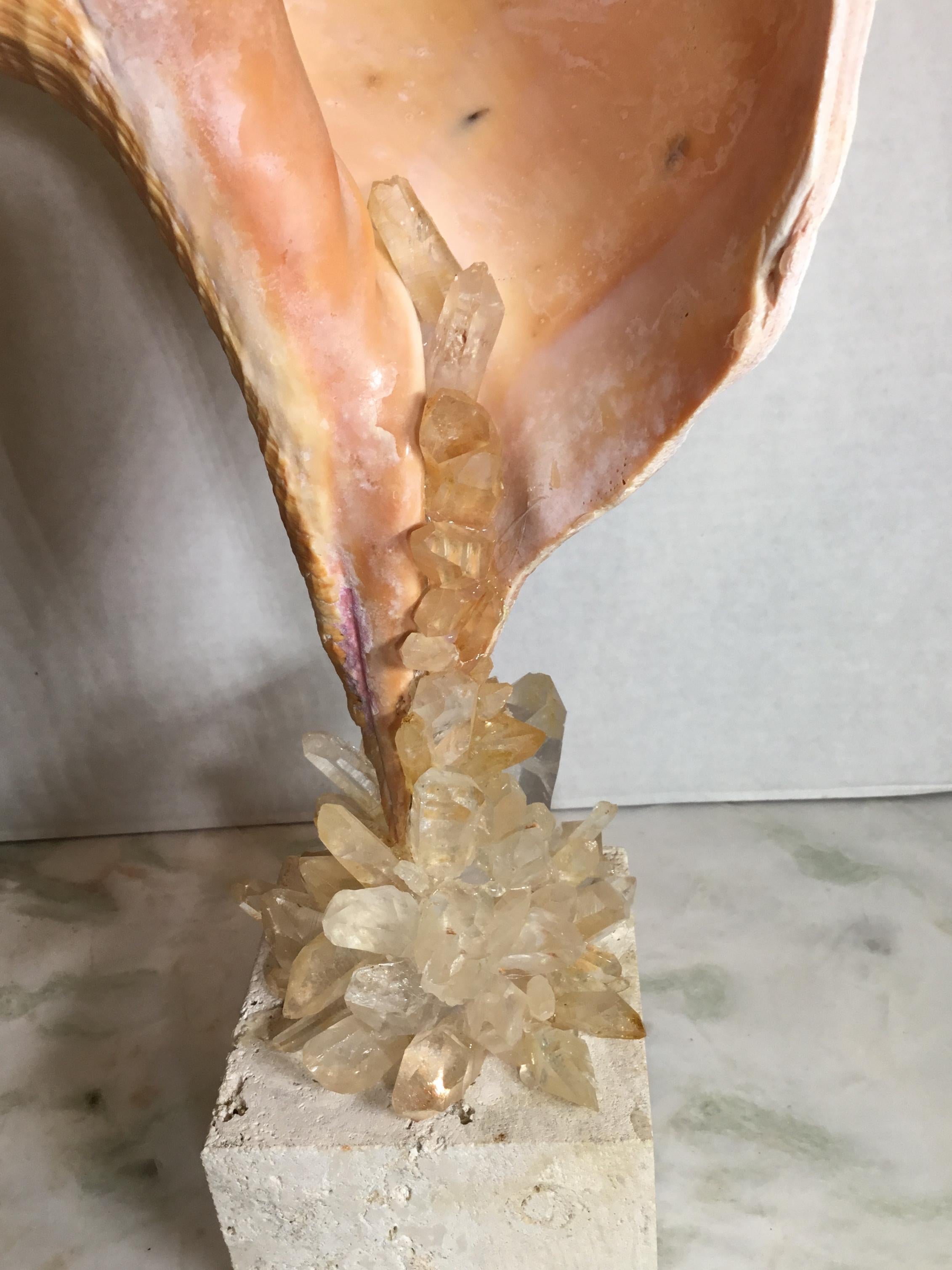 One of a Kind Sea Shell and Crystal Quartz For Sale 8