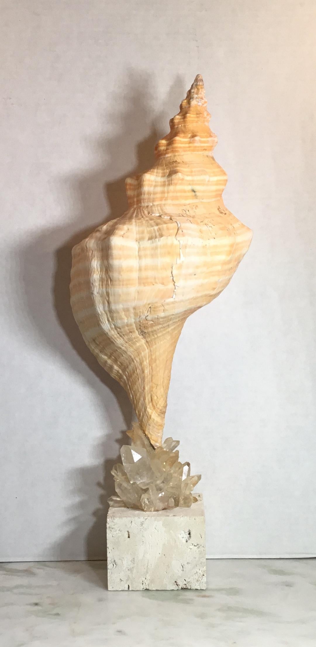 One of a Kind Sea Shell and Crystal Quartz For Sale 9