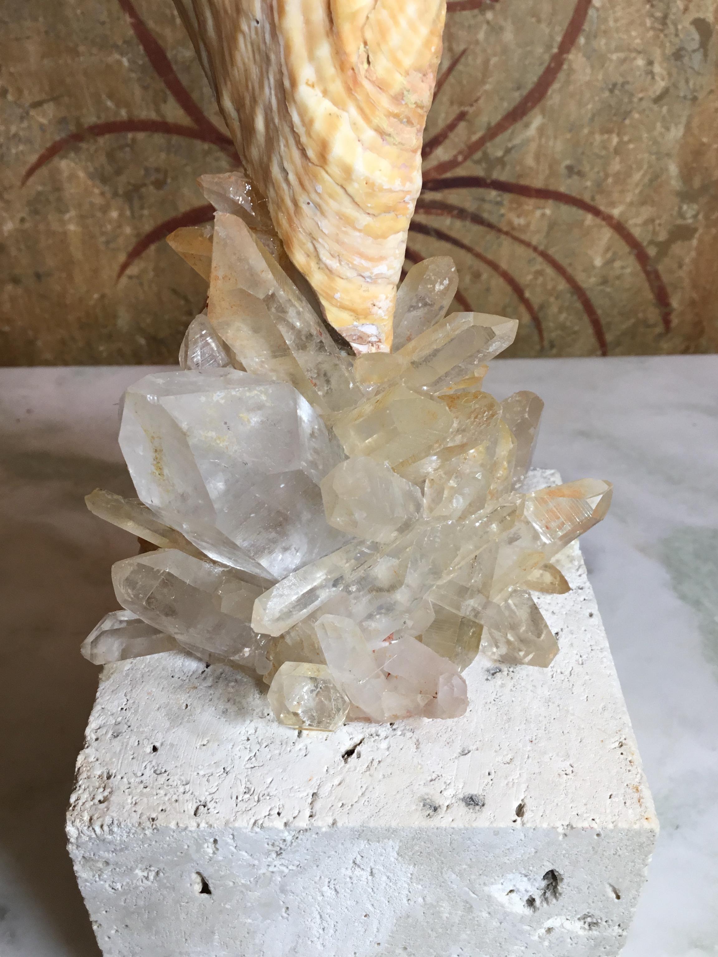 One of a Kind Sea Shell and Crystal Quartz In Excellent Condition For Sale In Delray Beach, FL