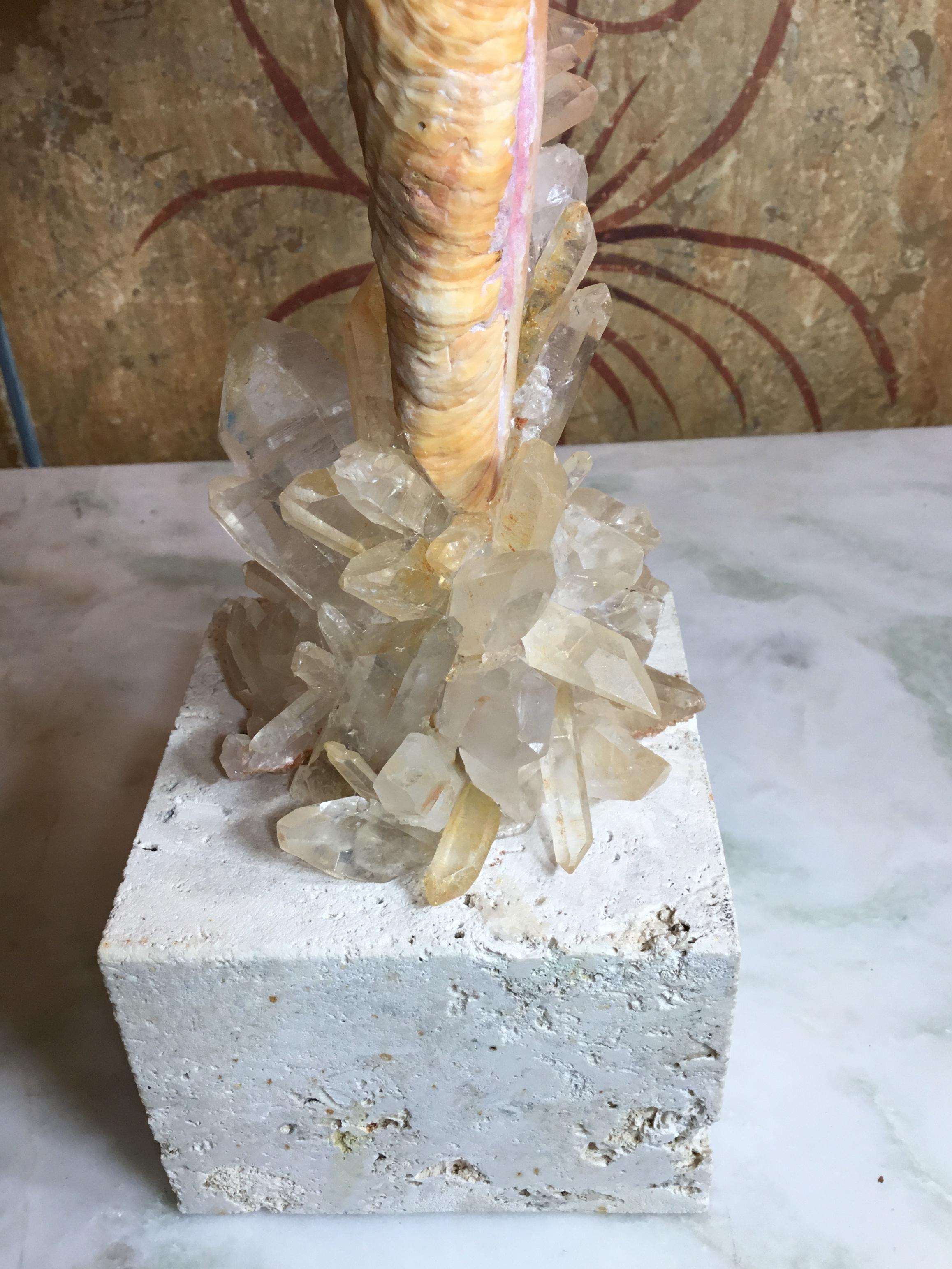 20th Century One of a Kind Sea Shell and Crystal Quartz For Sale