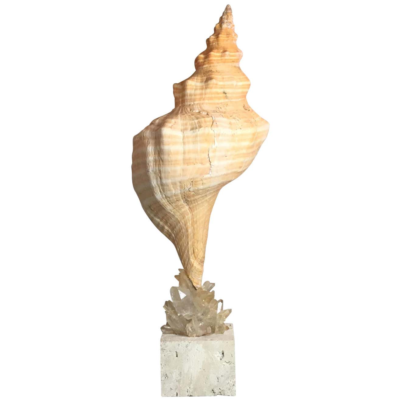 One of a Kind Sea Shell and Crystal Quartz For Sale at 1stDibs