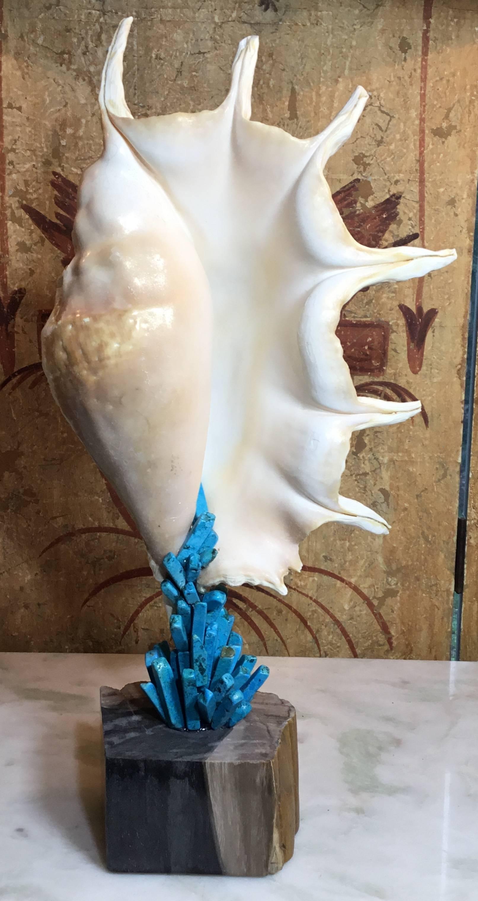 One of a Kind Sea Shell and Turquoise Stone For Sale 7