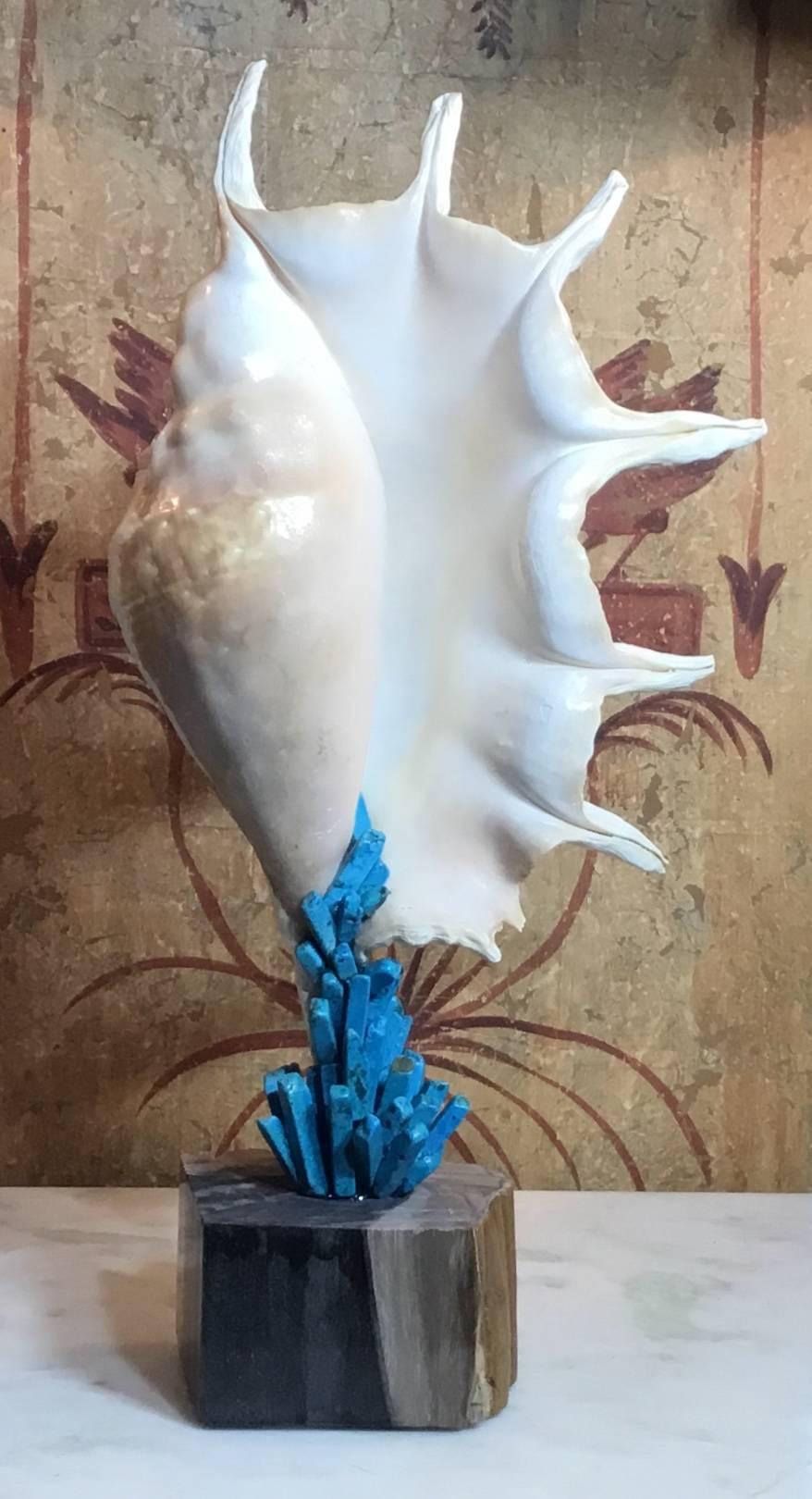 One of a Kind Sea Shell and Turquoise Stone In Excellent Condition For Sale In Delray Beach, FL