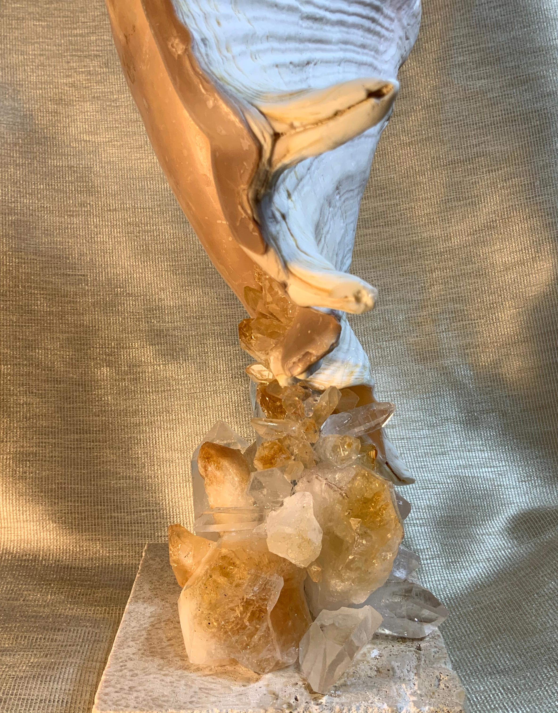 One of a Kind Seashell and Citrine And Quartz Crystal For Sale 3