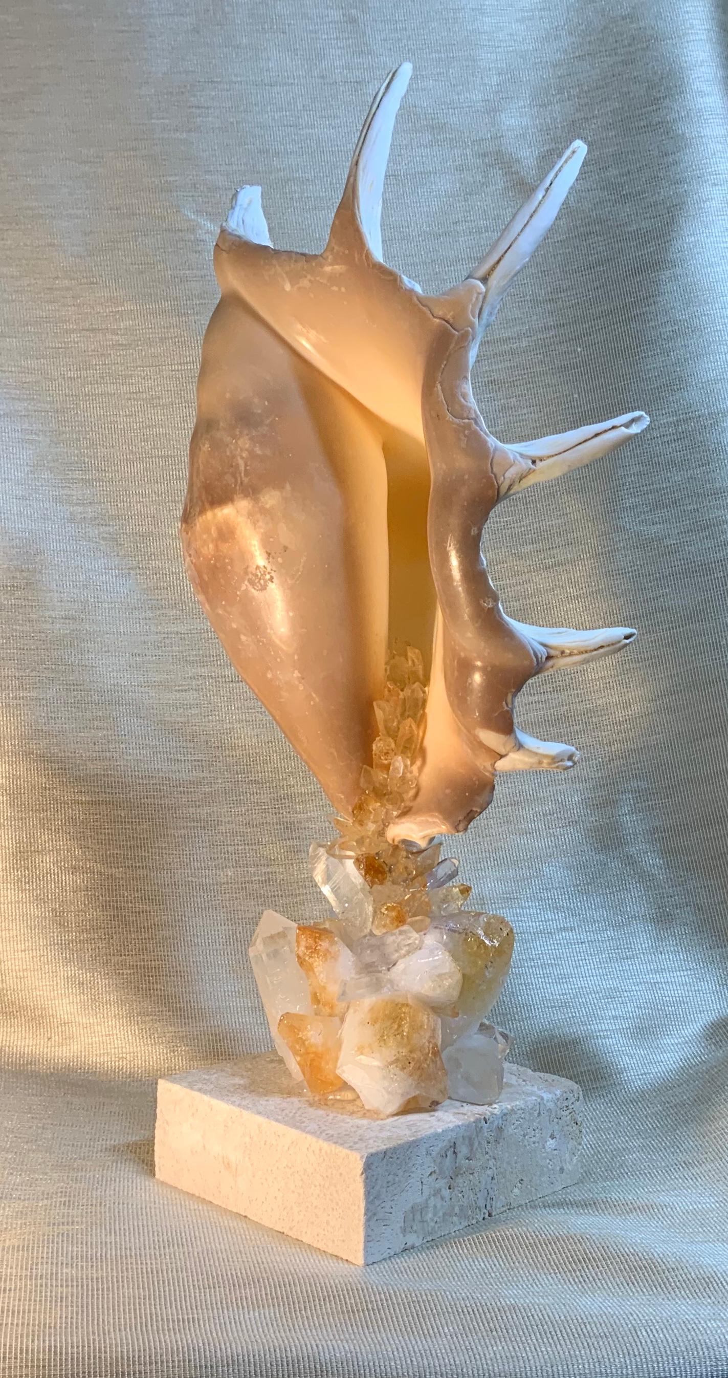One of a Kind Seashell and Citrine And Quartz Crystal For Sale 1