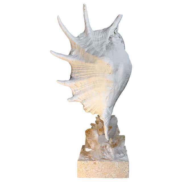 Atlantic Sea Shell and Crystal Quartz and Crystals Citrine Quartz For ...