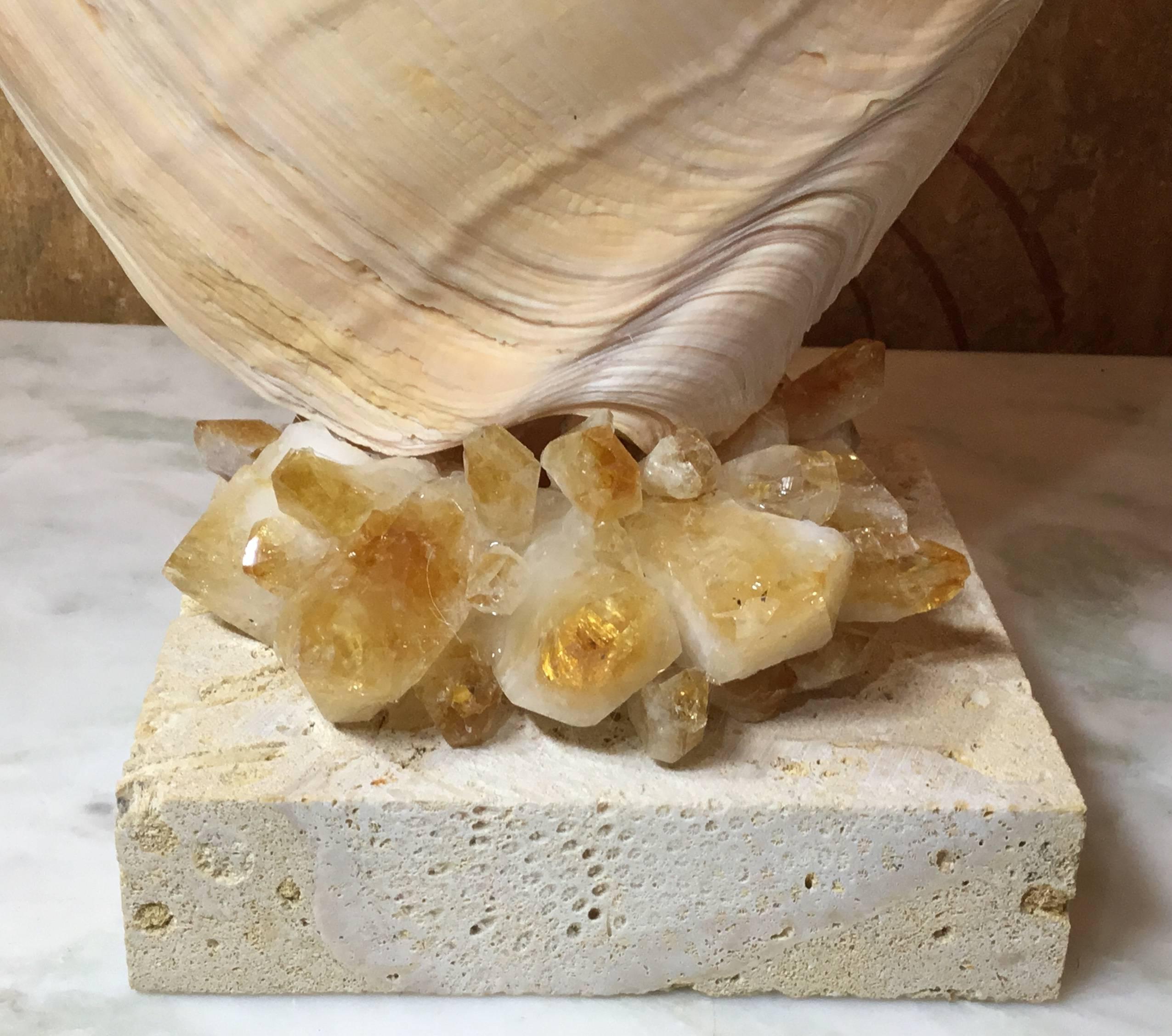 One of a Kind Seashell and Citrine Quartz Crystal 6