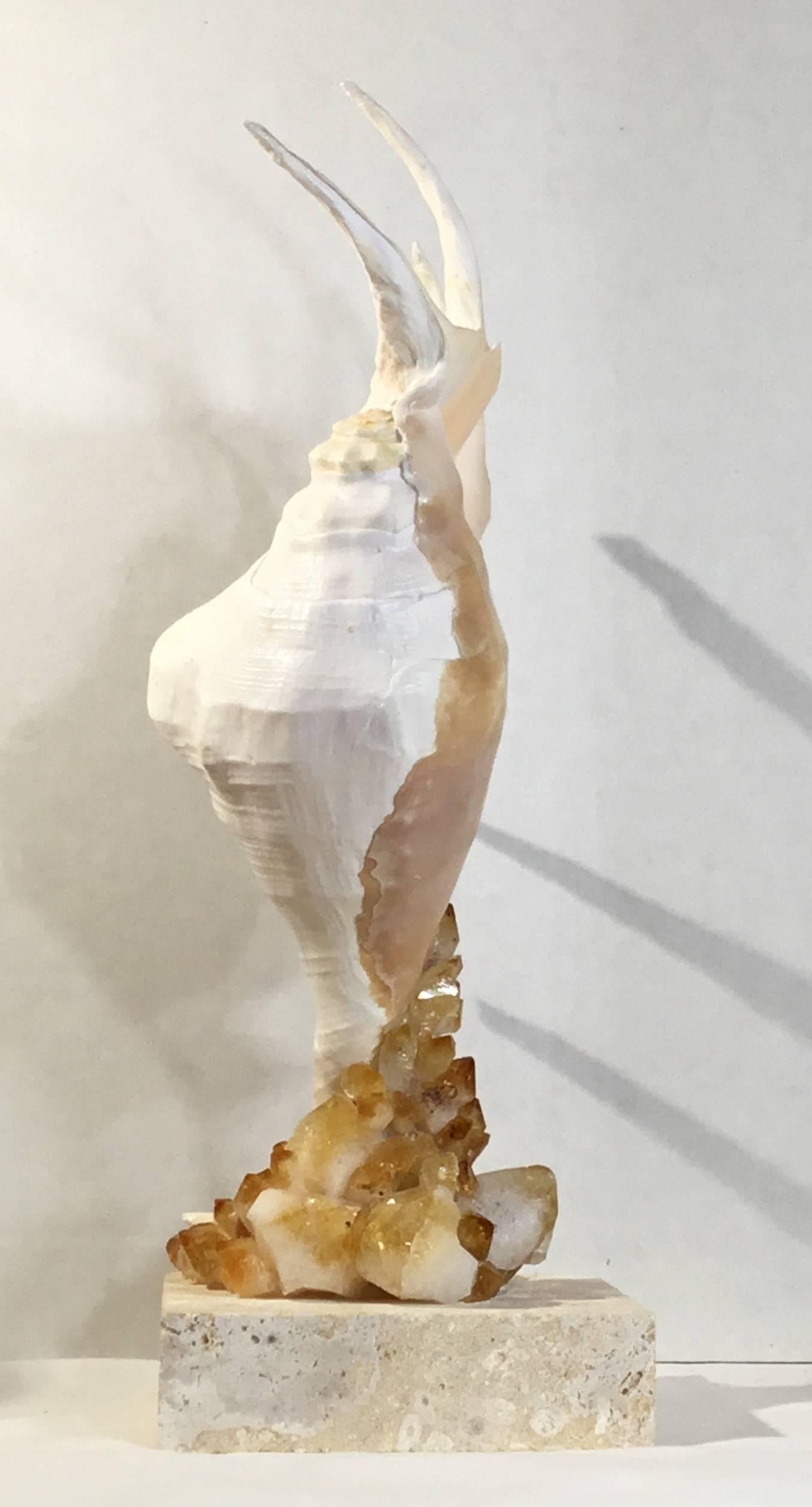 One of a Kind Seashell and Citrine Quartz Crystal In Excellent Condition In Delray Beach, FL