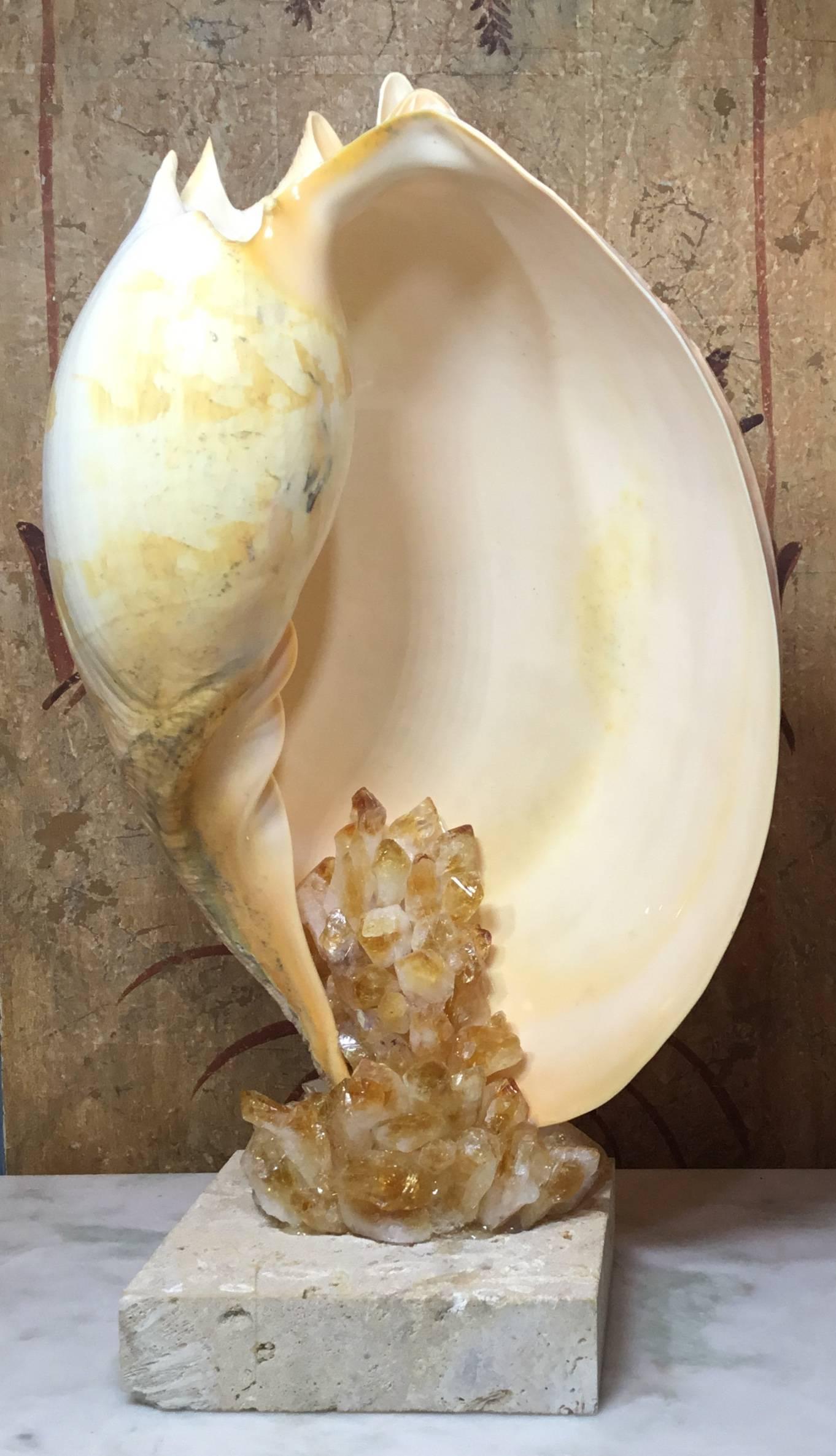One of a Kind Seashell and Citrine Quartz Crystal In Excellent Condition In Delray Beach, FL