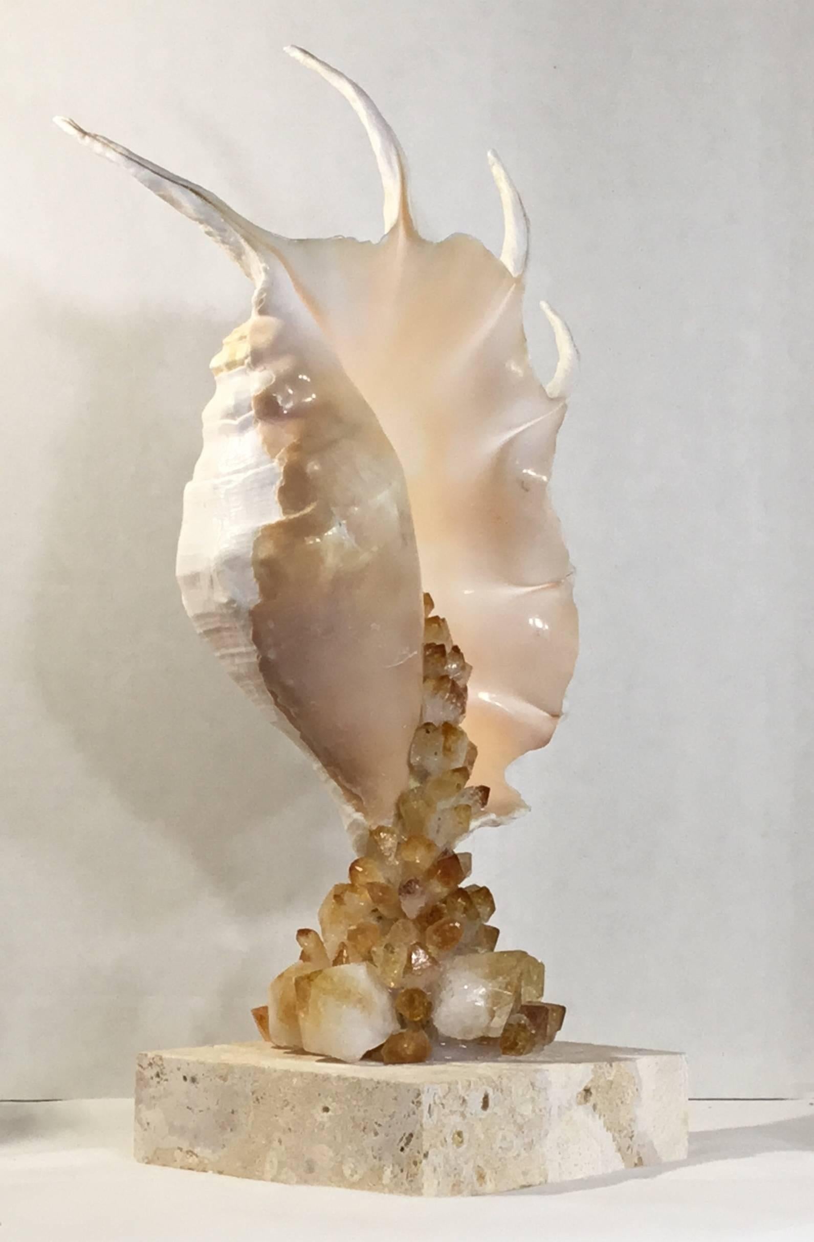 20th Century One of a Kind Seashell and Citrine Quartz Crystal