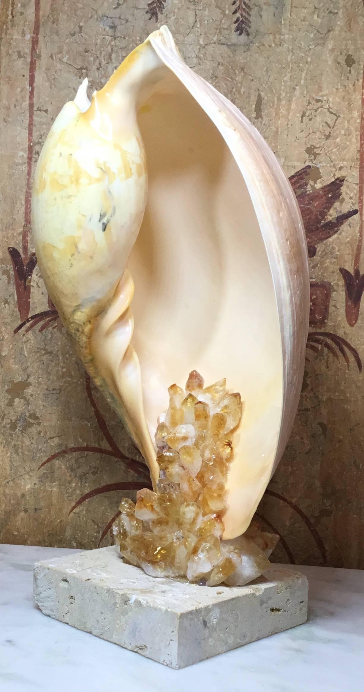 Contemporary One of a Kind Seashell and Citrine Quartz Crystal