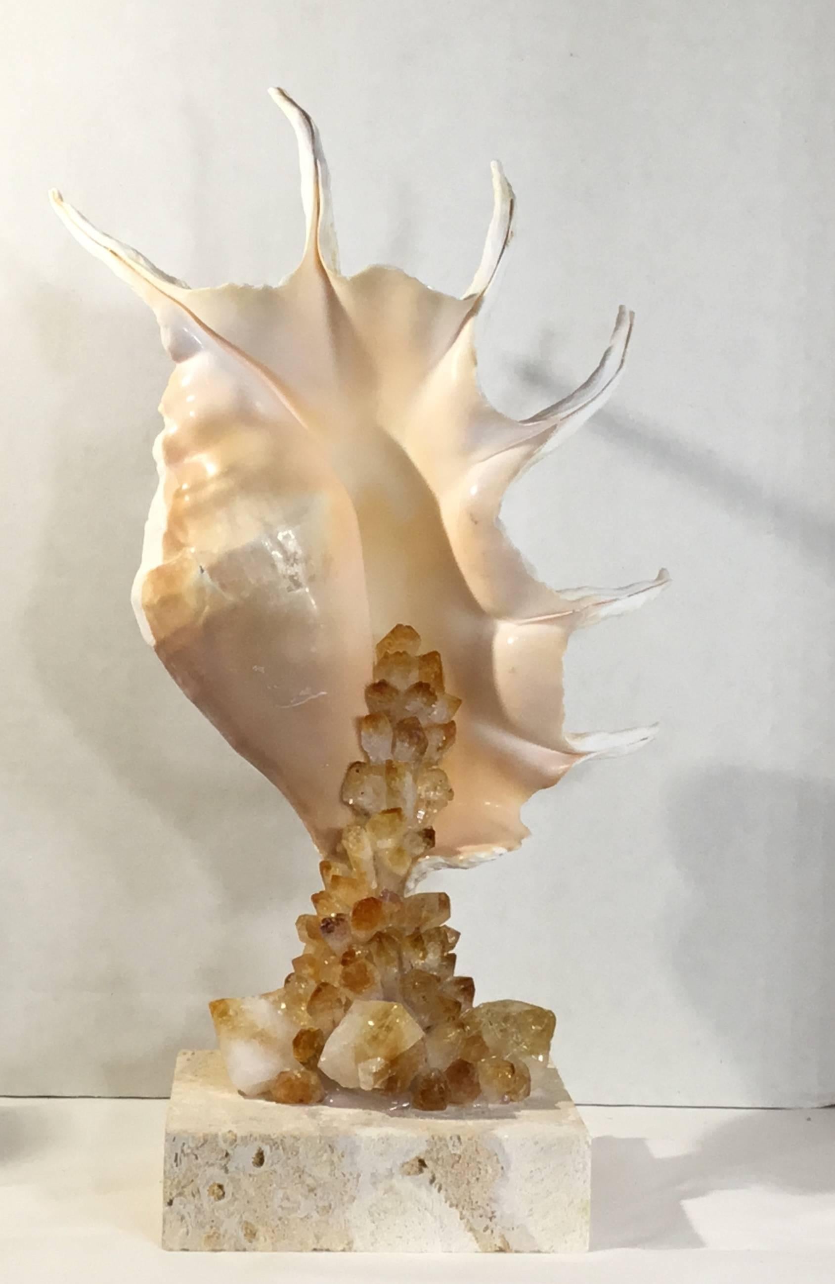Coral One of a Kind Seashell and Citrine Quartz Crystal