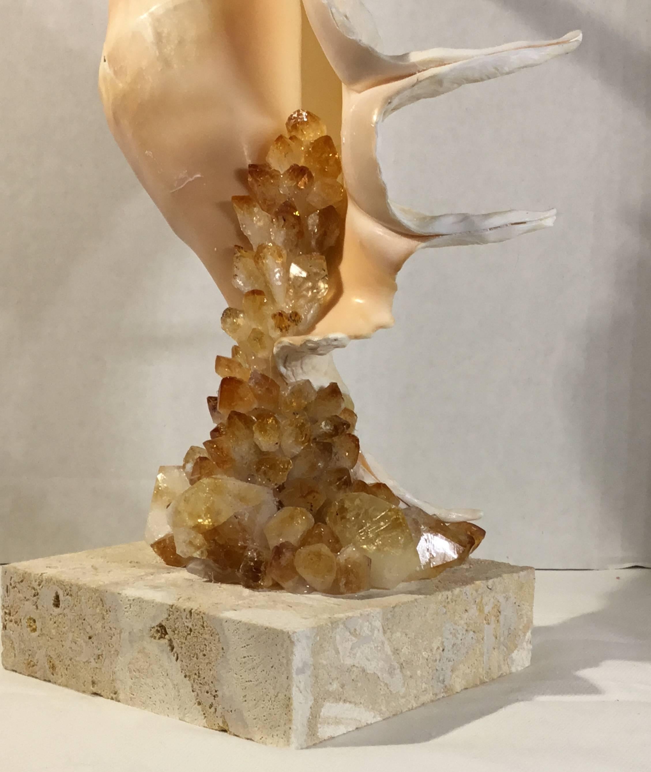 One of a Kind Seashell and Citrine Quartz Crystal 1