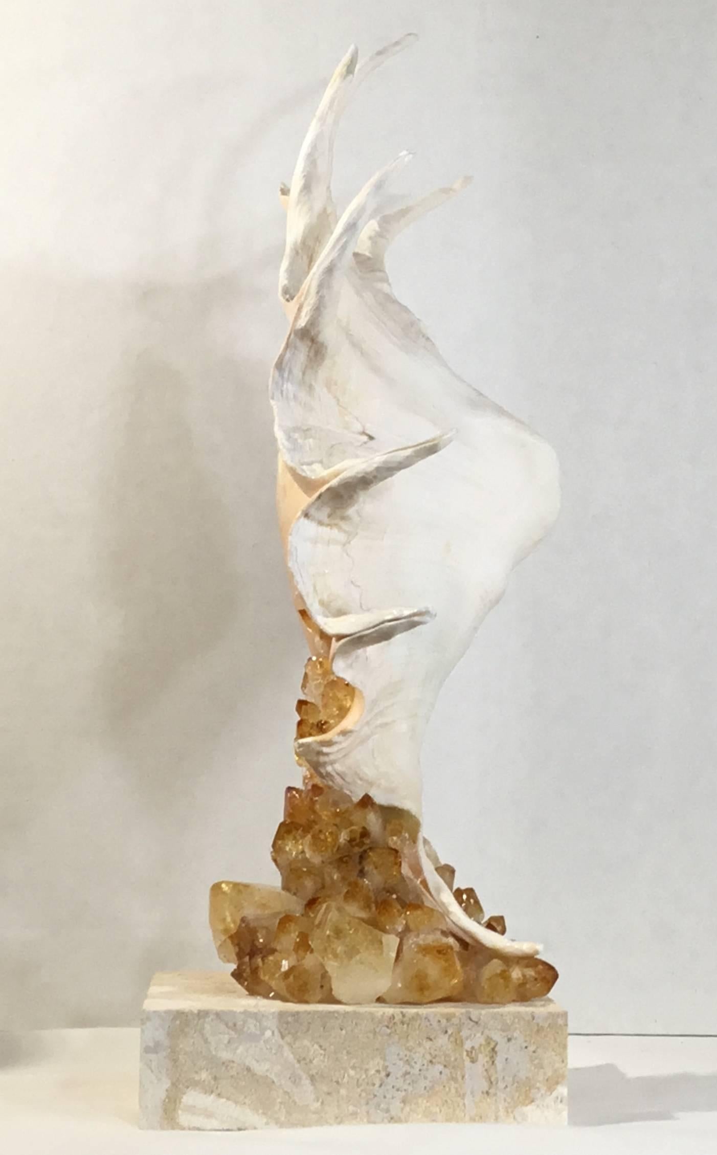One of a Kind Seashell and Citrine Quartz Crystal 2
