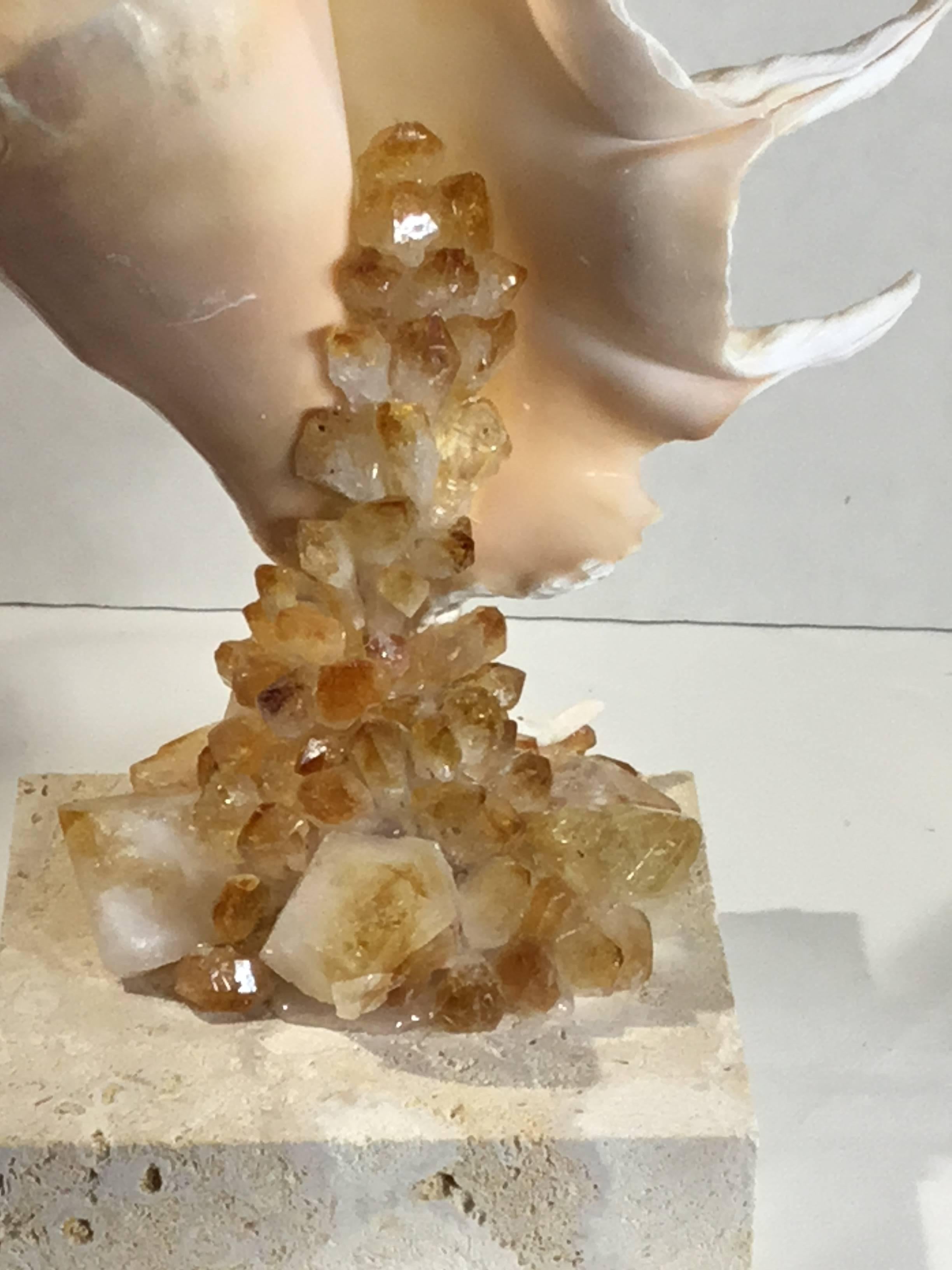One of a Kind Seashell and Citrine Quartz Crystal 3
