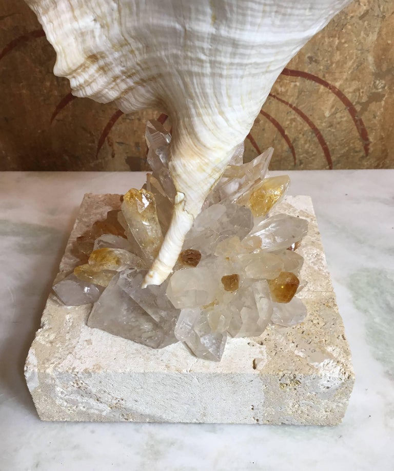One of a Kind Seashell and Crystal Quartz Citrine For Sale at 1stdibs
