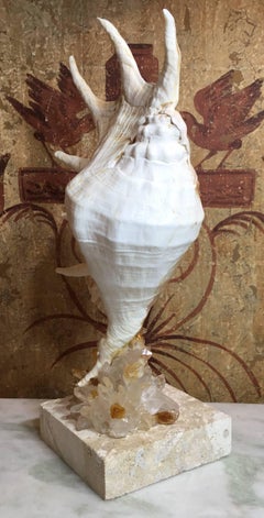 One of a Kind Seashell and Crystal Quartz Citrine