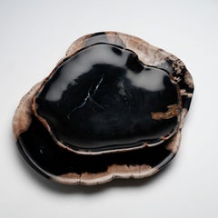 Juego único de platos de madera petrificada indonesia tallados a mano