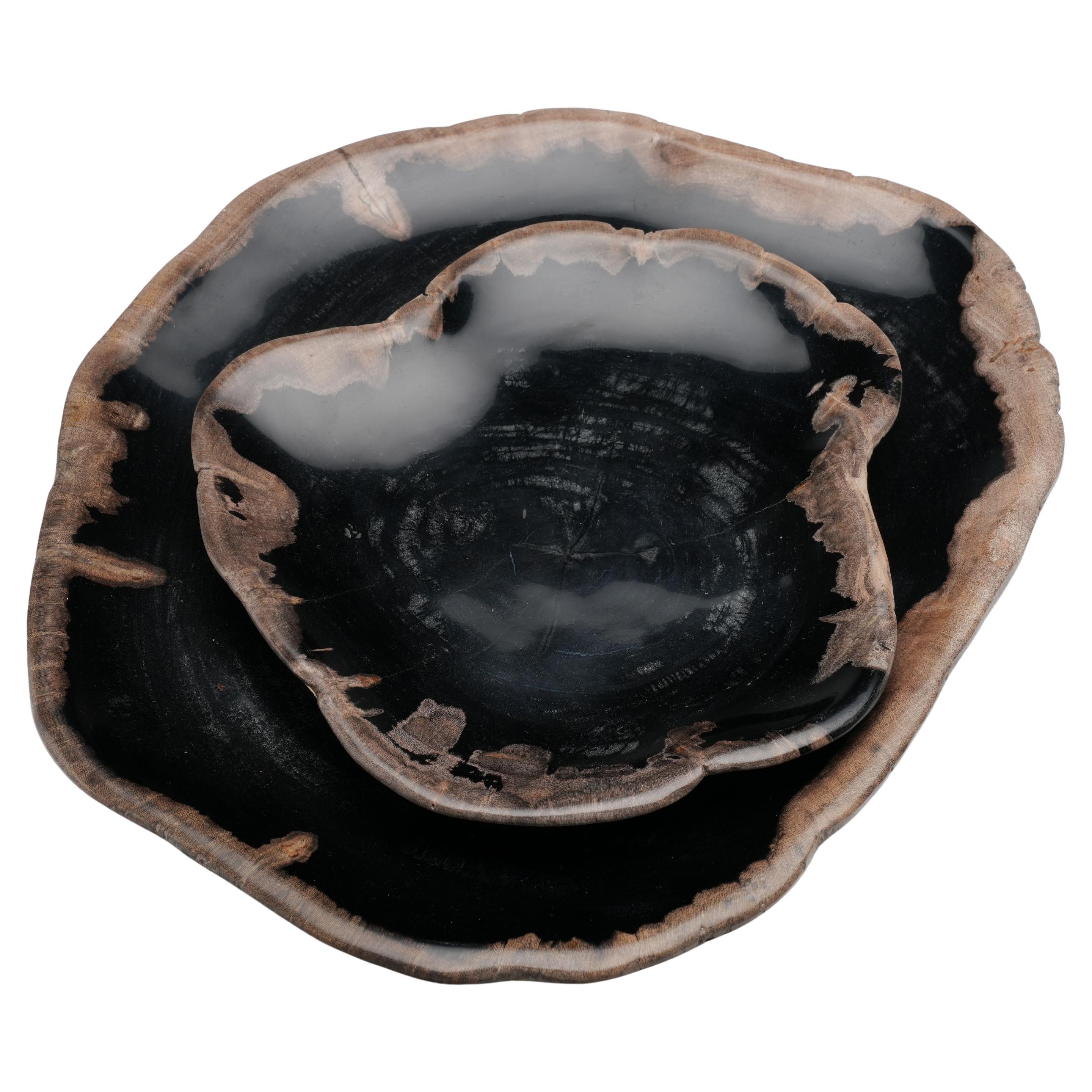 One of a Kind Set of Hand-Carved Indonesian Petrified Wood Plates