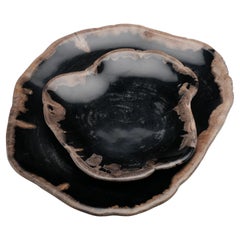 One of a Kind Set of Hand-Carved Indonesian Petrified Wood Plates