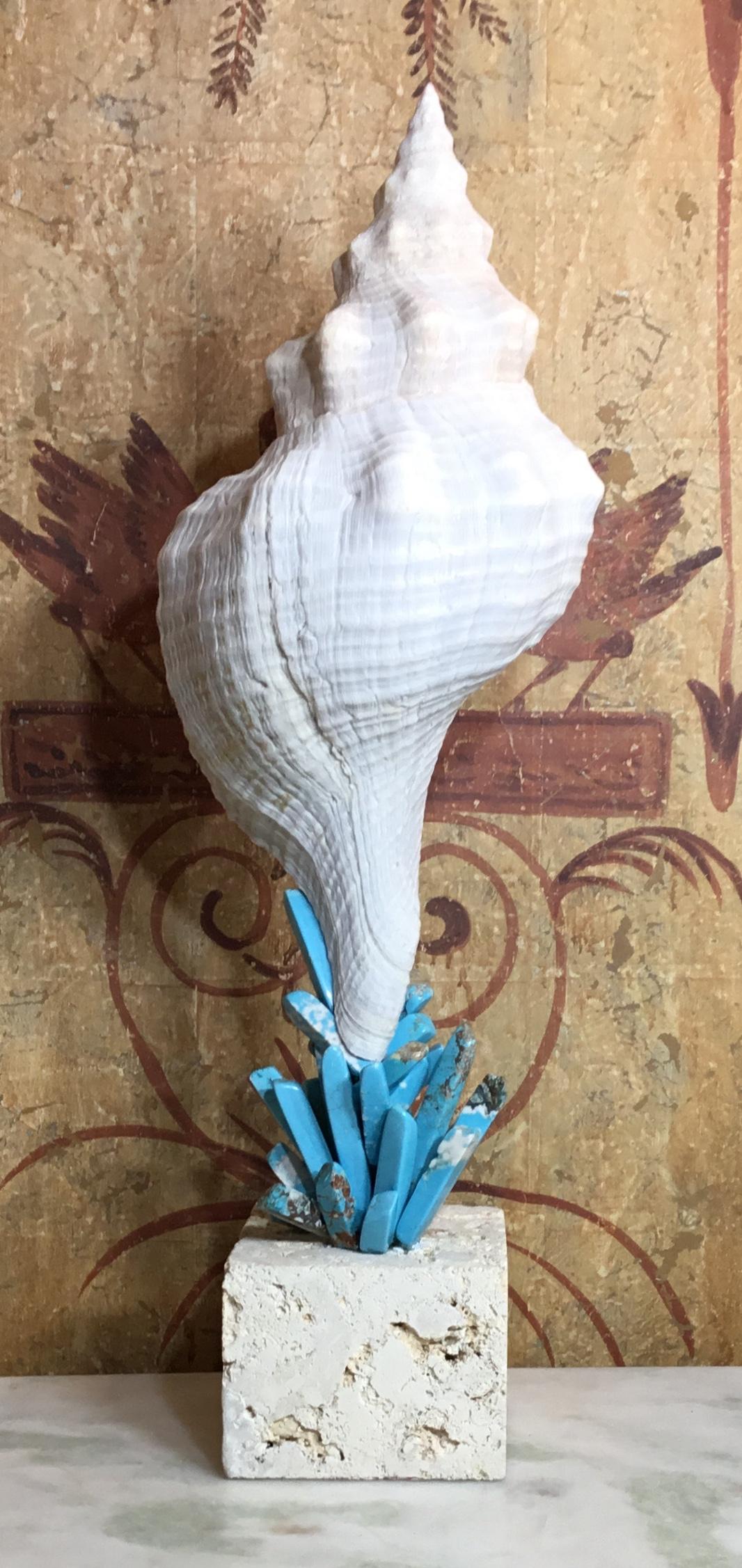 Beautiful trumpet seashell professionally mounted on genuine coral base, artistically hand embedded with fantastic turquoise stones all around, to make exceptional object of art for display.