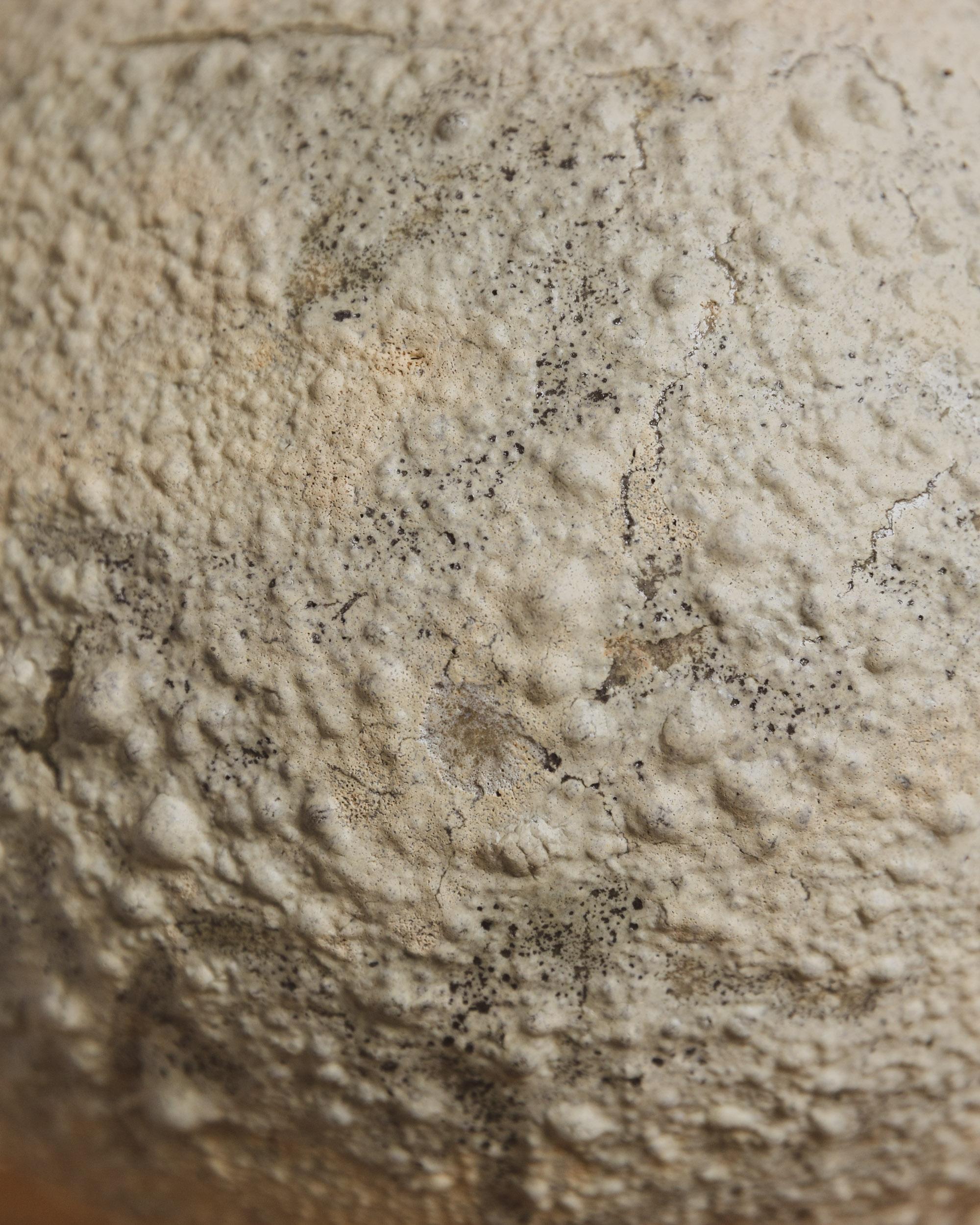 One-of-a-kind Textural Crater Moon Jar by Ilona Golovina In New Condition For Sale In Brooklyn, NY