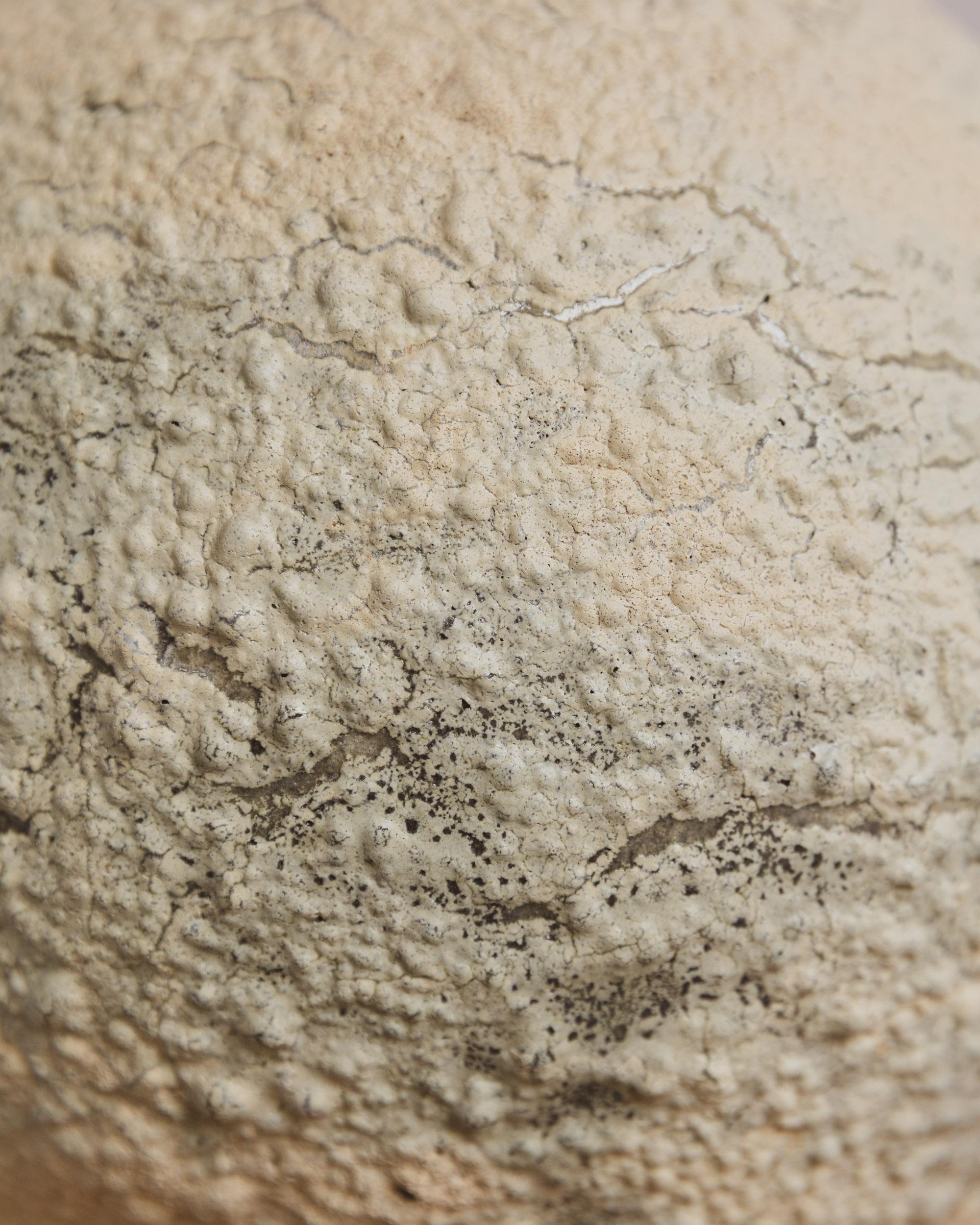 Contemporary One-of-a-kind Textural Crater Moon Jar by Ilona Golovina For Sale