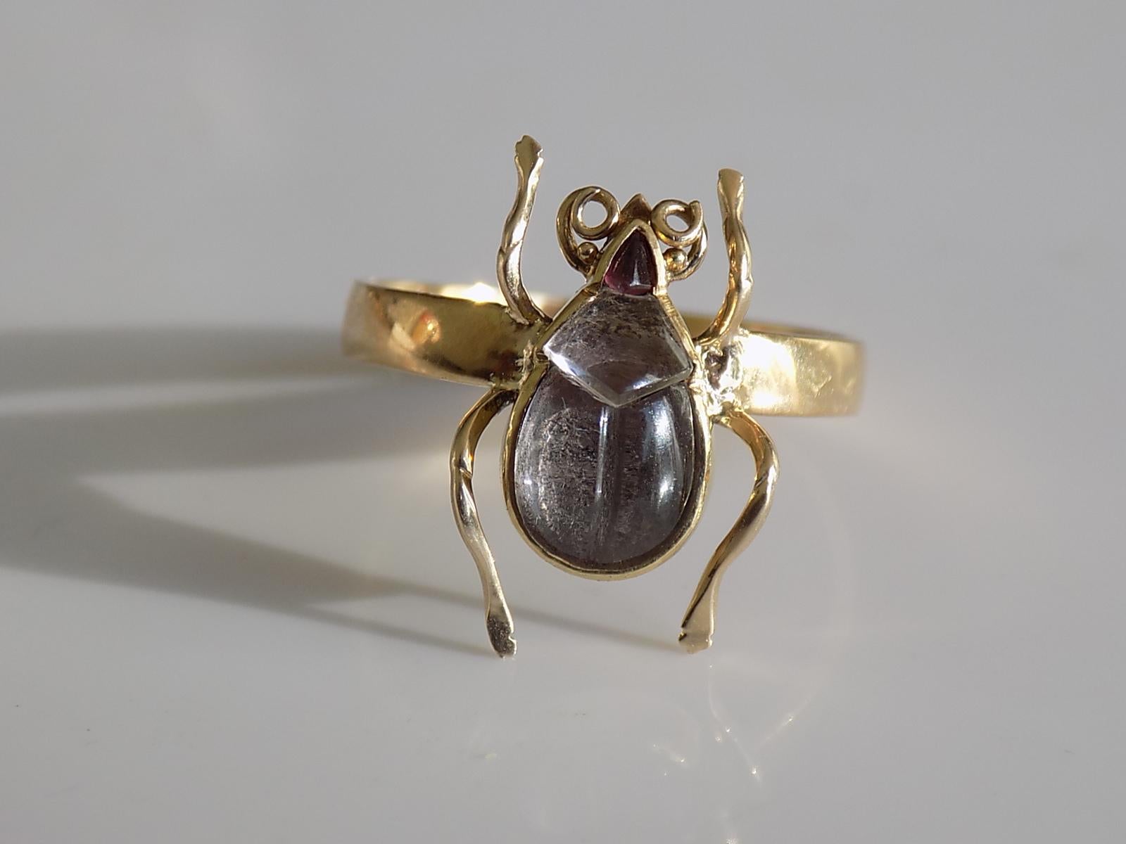ring bug