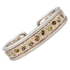 One of a Kind White/ Rose Gold Bangle with 23 Various Natural Colored Stones