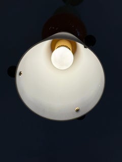 One-of-Kind Murano Pendant Light Fixture