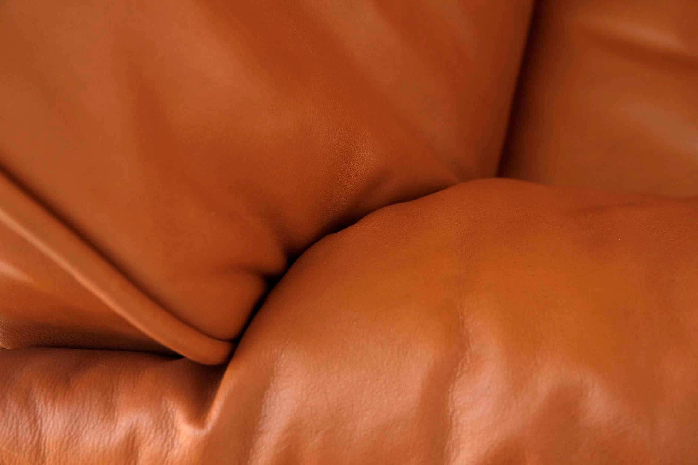 De Sede fauteuil de salon DS-14 en cuir et teck cognac, l'un des six en vente 4