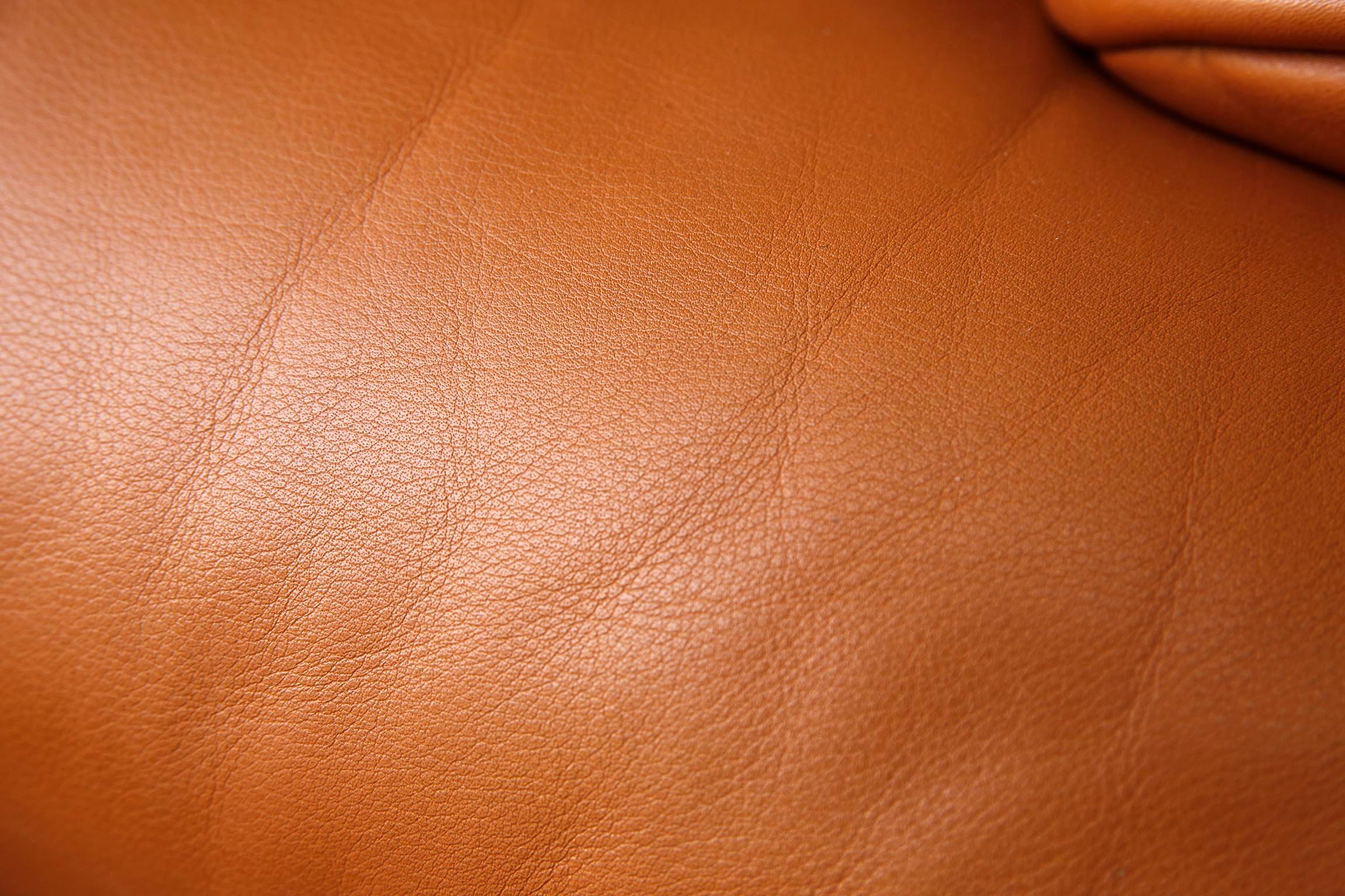 De Sede fauteuil de salon DS-14 en cuir et teck cognac, l'un des six en vente 5