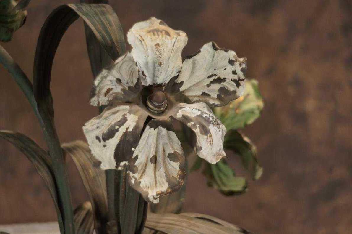Planta de hierro Antique French  Centro de mesa escultórico, hacia 1880 en Bueno estado para la venta en Austin, TX