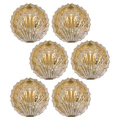 One of the Six Golden Ice Glass Shell Wall Sconces, 1960s