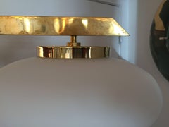 One oval glass shade