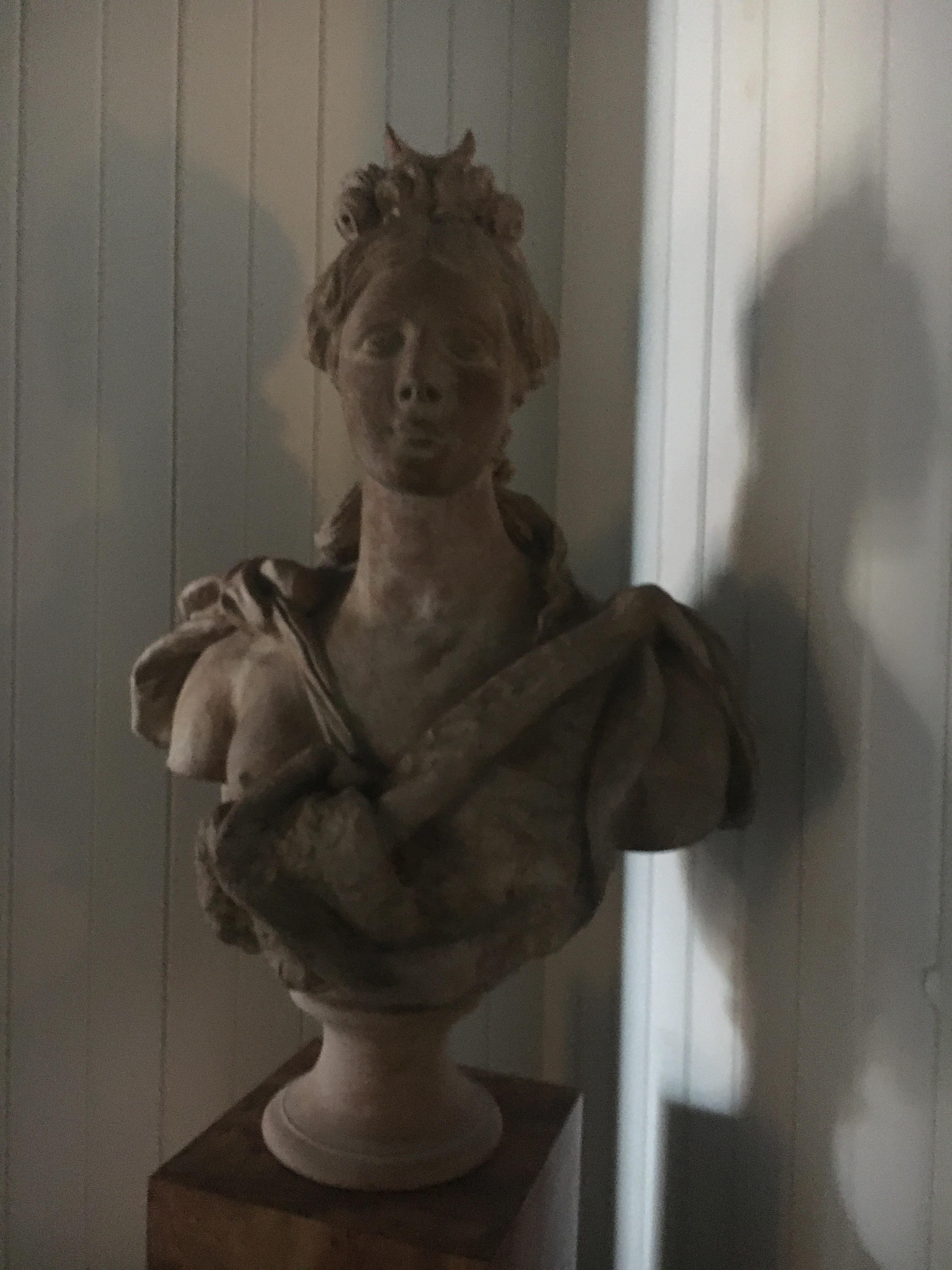 Stately Continental Terracotta Bust Depicting A Classical Female Bust.   For Sale 2