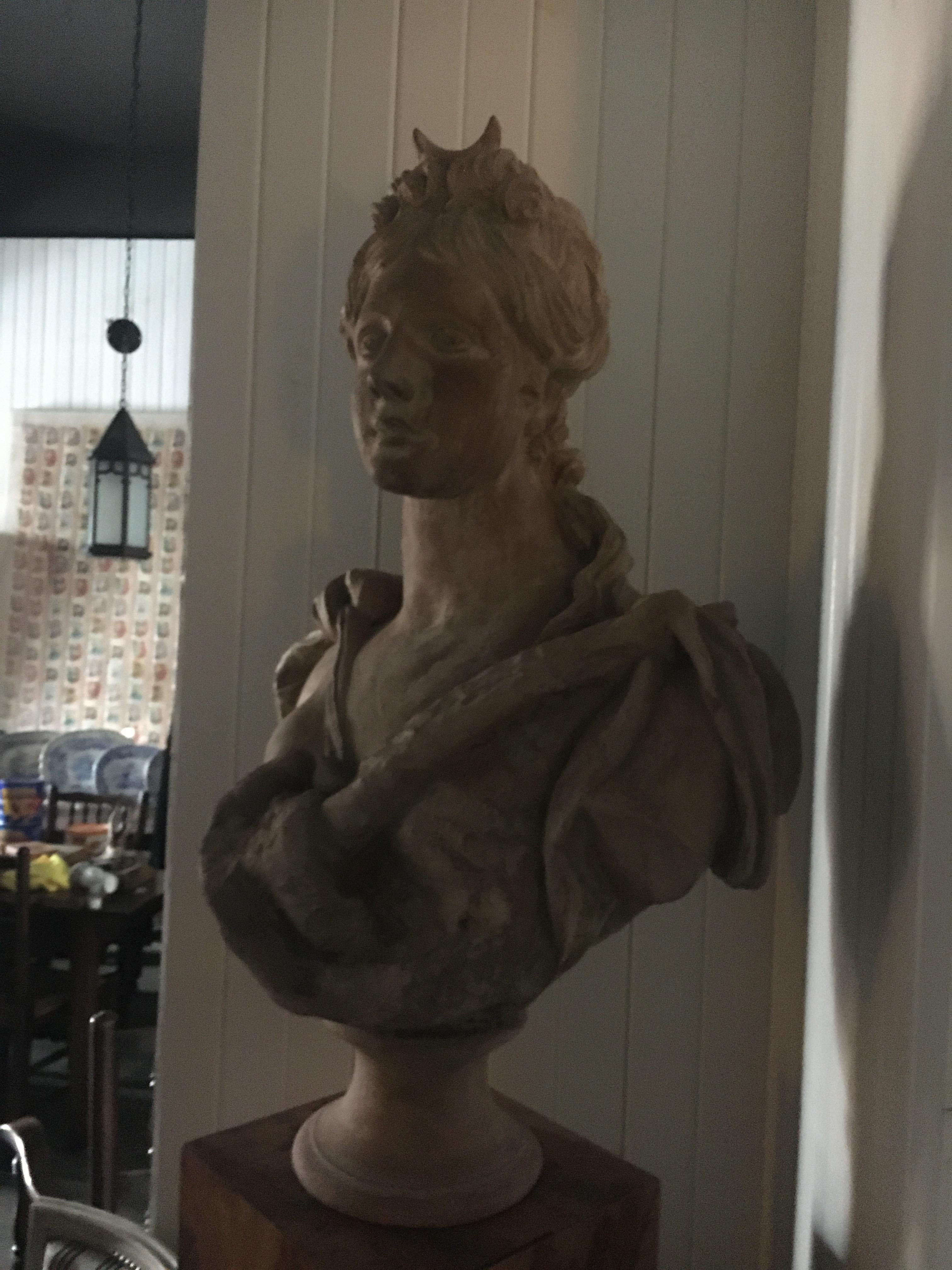 Stately Continental Terracotta Bust Depicting A Classical Female Bust.   For Sale 3