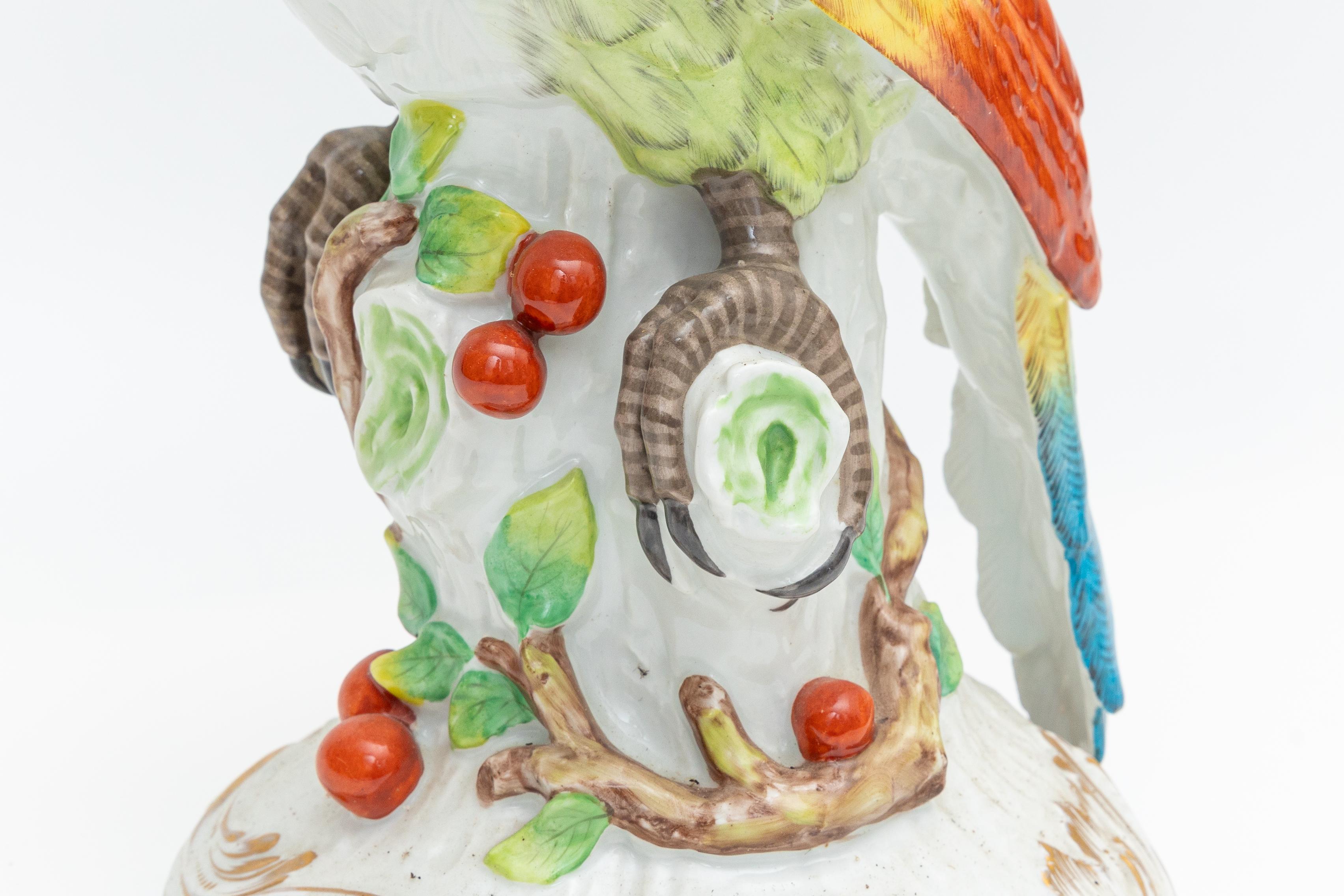 XIX secolo UNO Pappagalli, Meissen in vendita