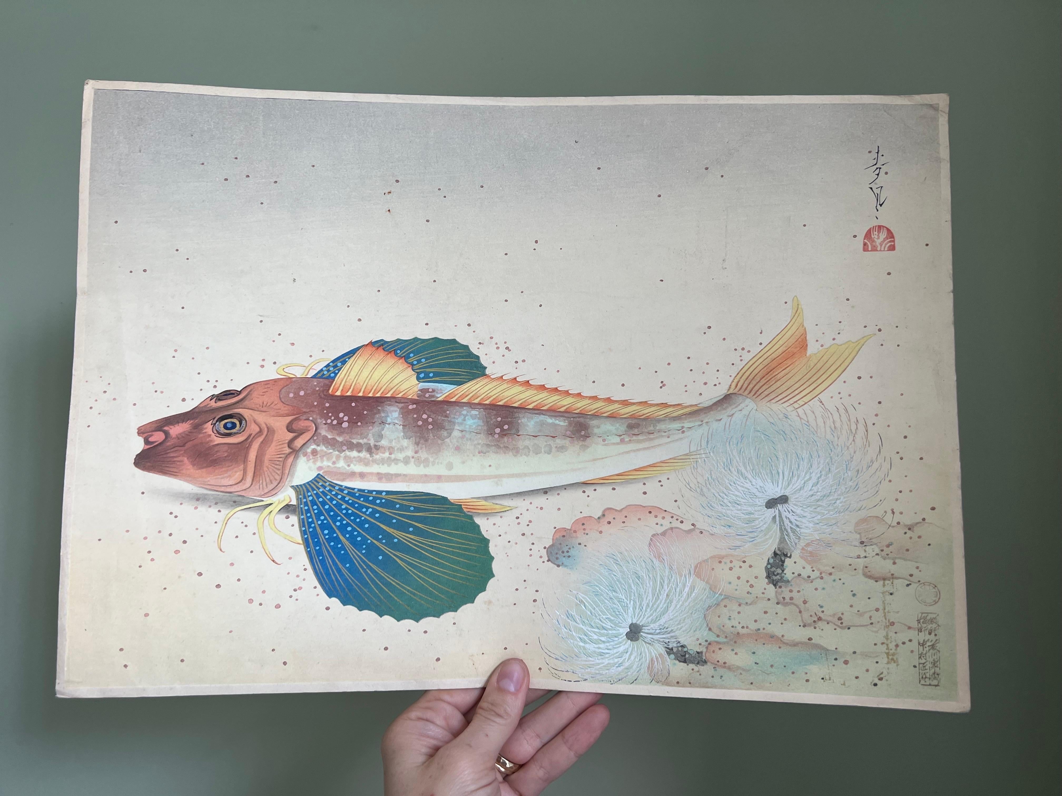 Ono Bakufu, Great Japanese Fish Picture Collection / The Hobo (Gurnard) In Good Condition In Brooklyn, NY