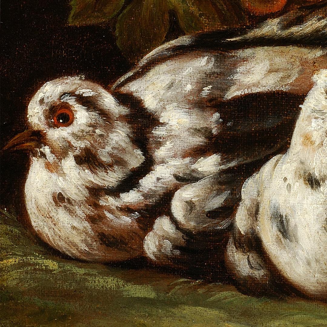 Stillleben von Onofrio Loth, Öl auf Leinwand, 17. Jahrhundert im Angebot 7