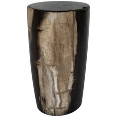 Onyx Toned Petrified Wood Drinks or Side Table